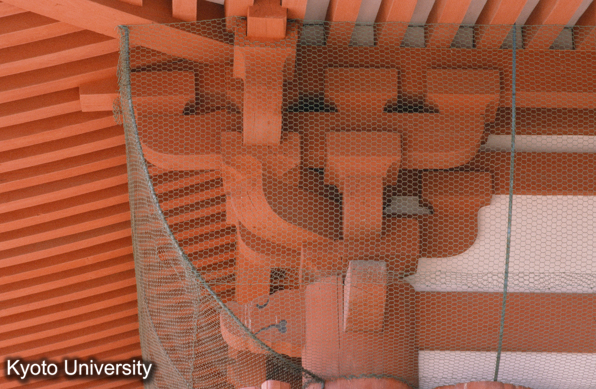 浄土寺多宝塔 (1)