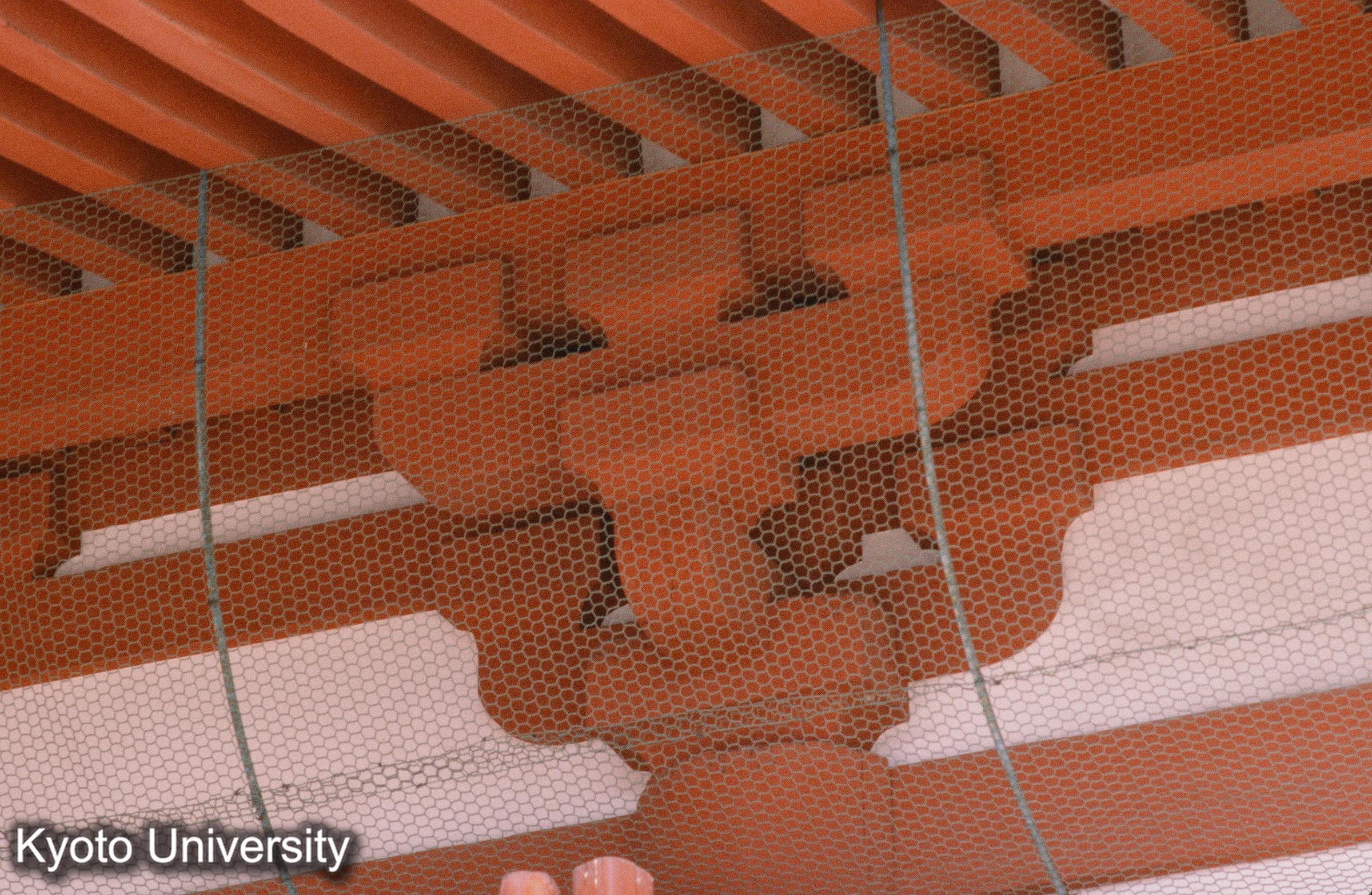 浄土寺多宝塔 (1)