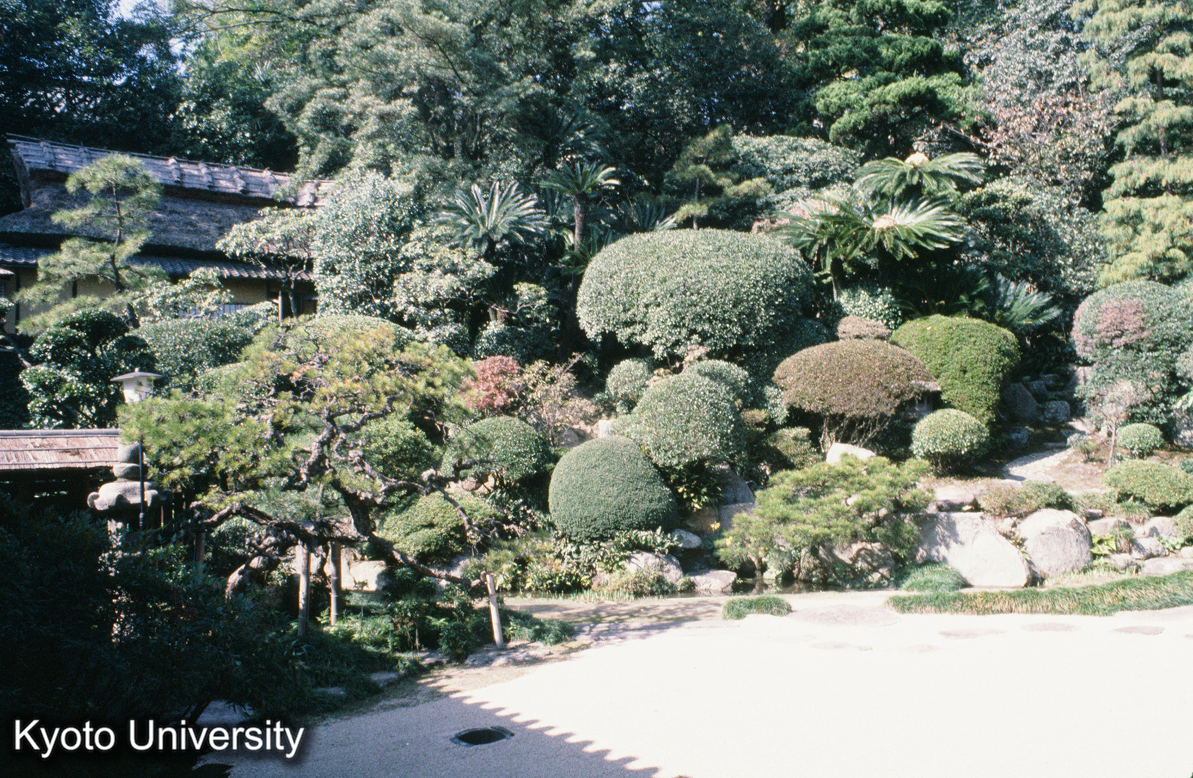 浄土寺露滴庵 (1)