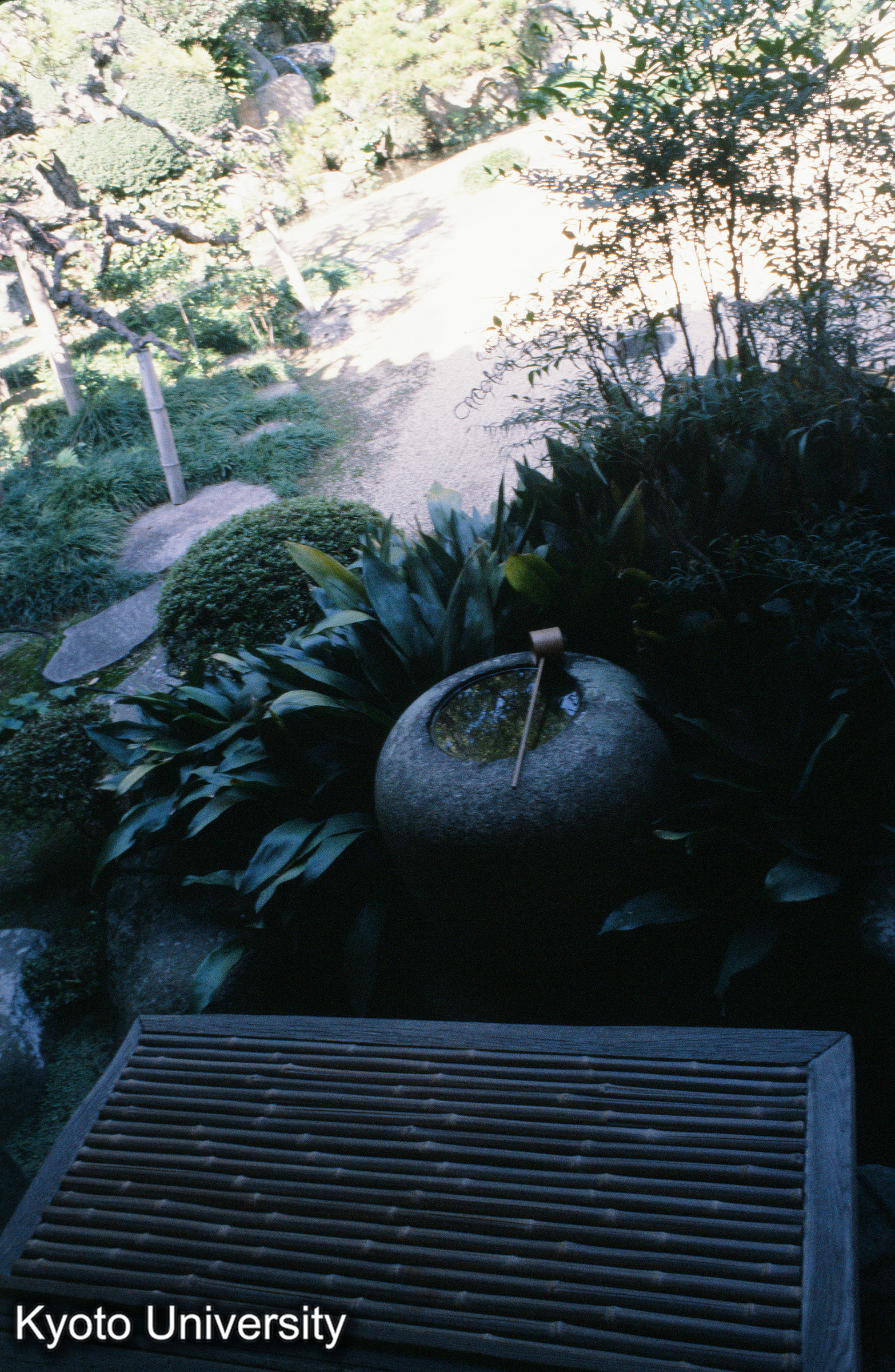 浄土寺露滴庵 (1)