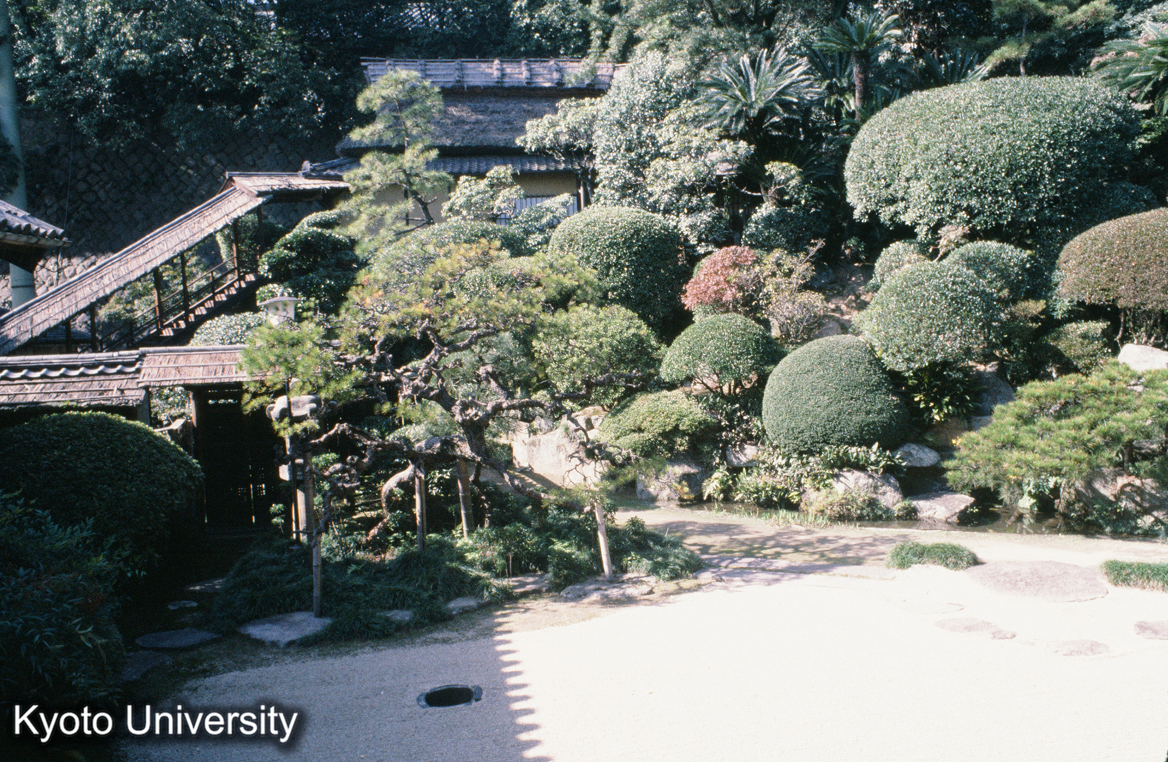 浄土寺露滴庵 (1)
