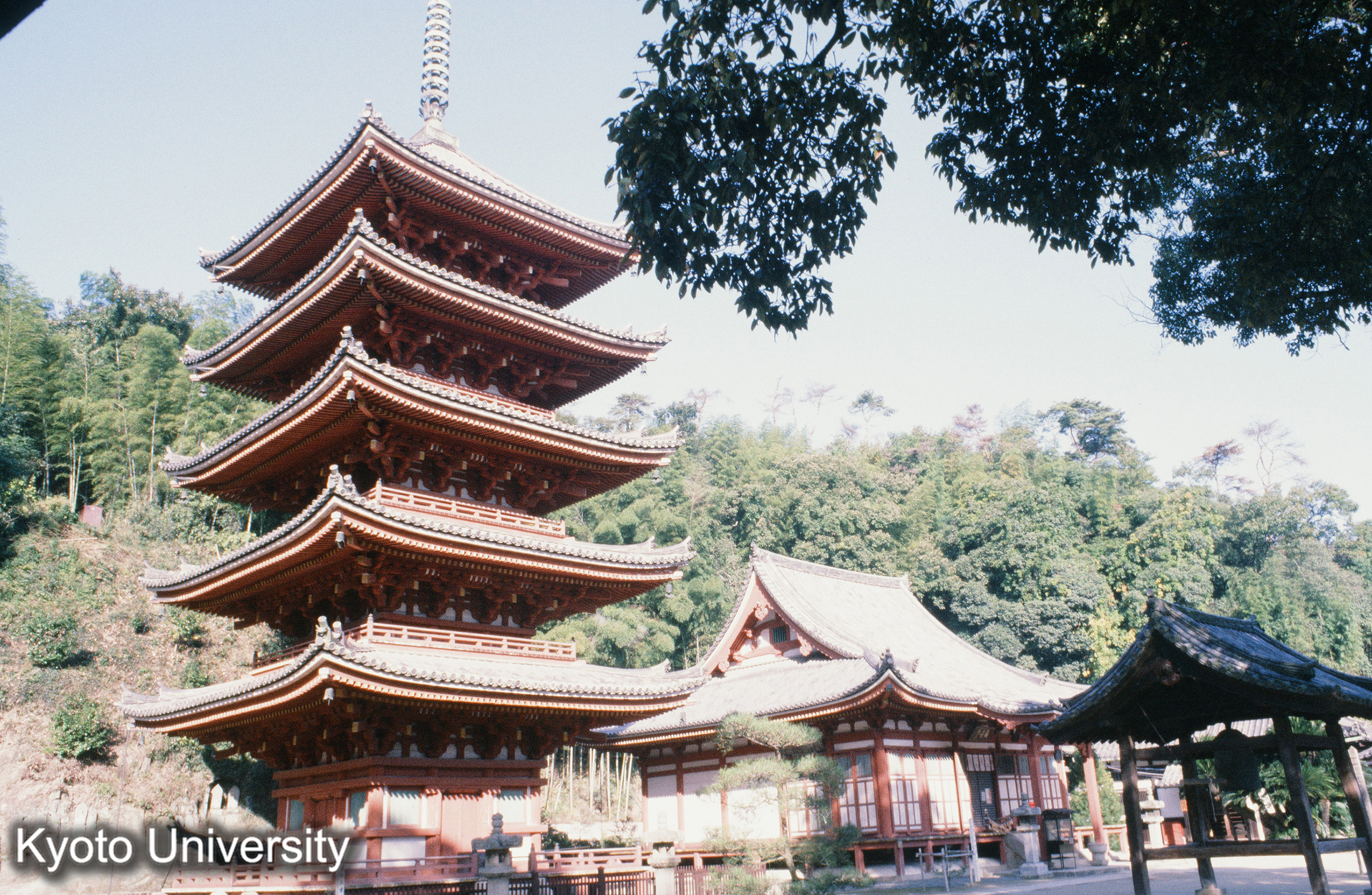 明王院五重塔全景 (1)