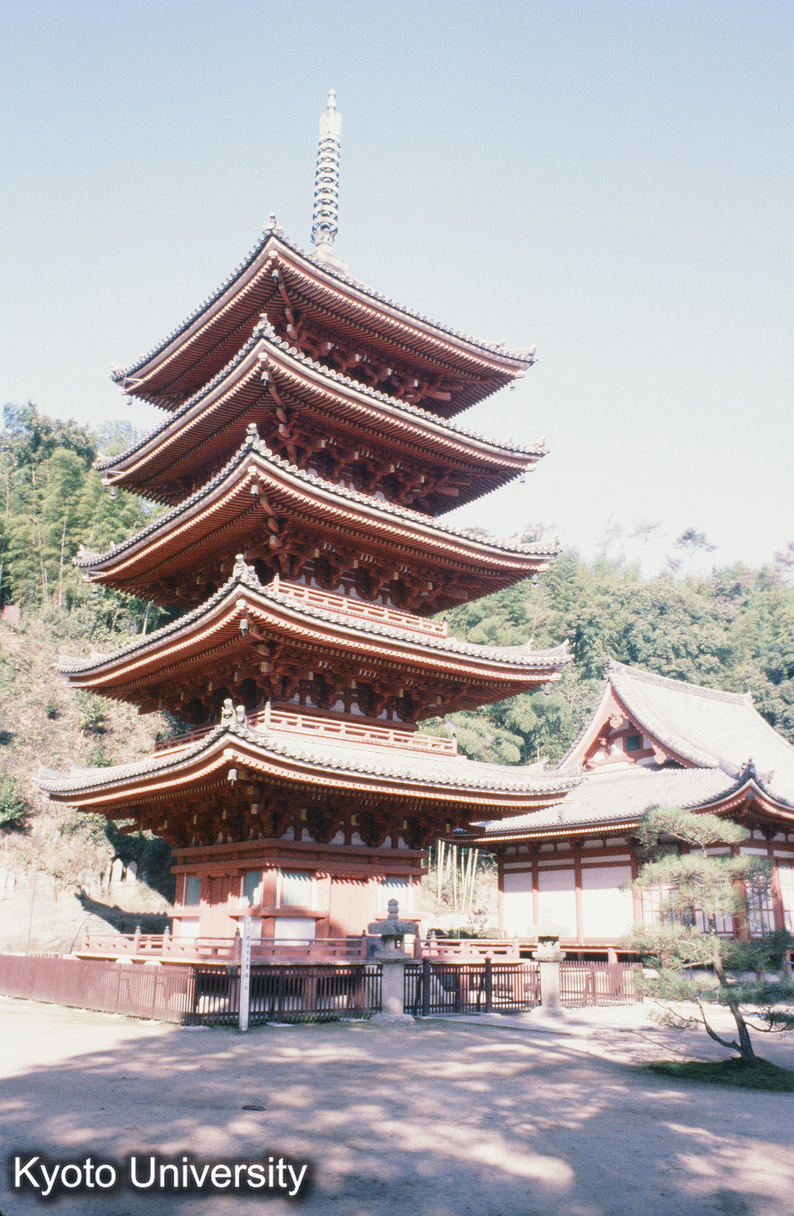 明王院五重塔全景 (1)