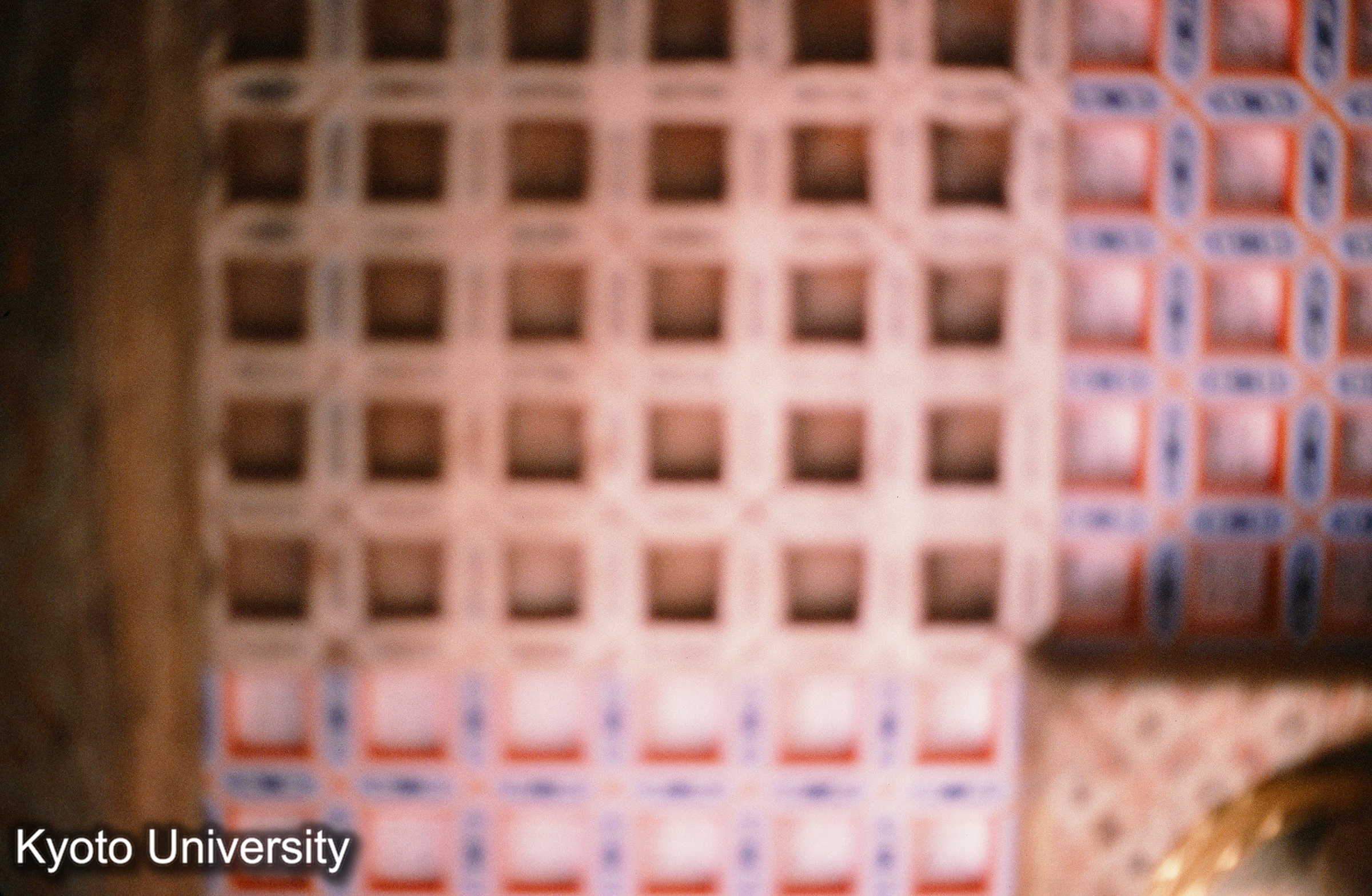 明王院五重塔 (1)