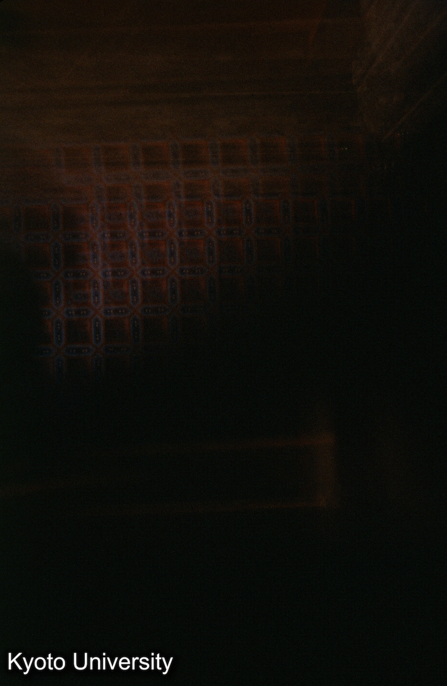 明王院五重塔 (1)