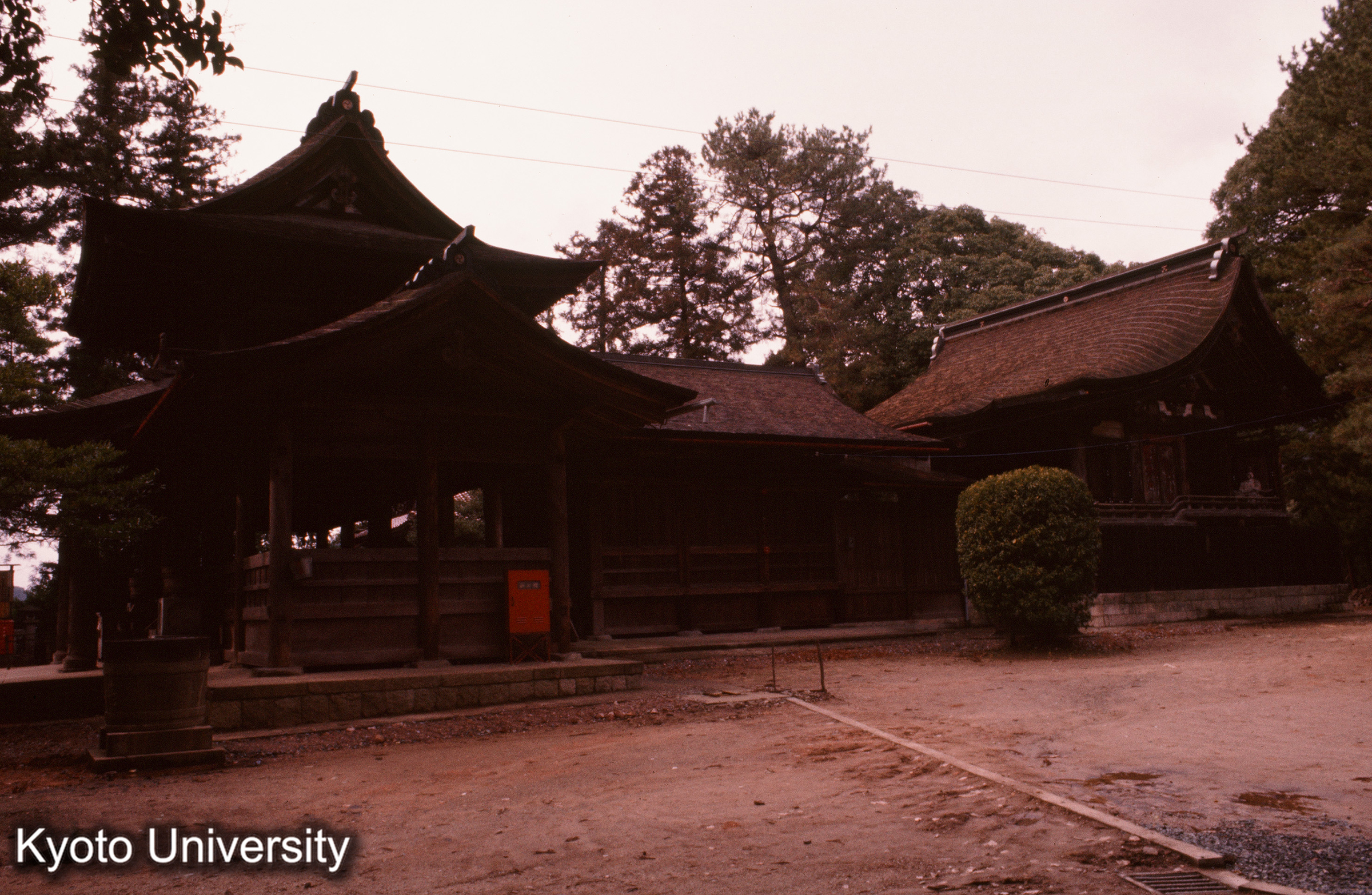 今八幡神社 拝殿・幣殿・本殿 (1)