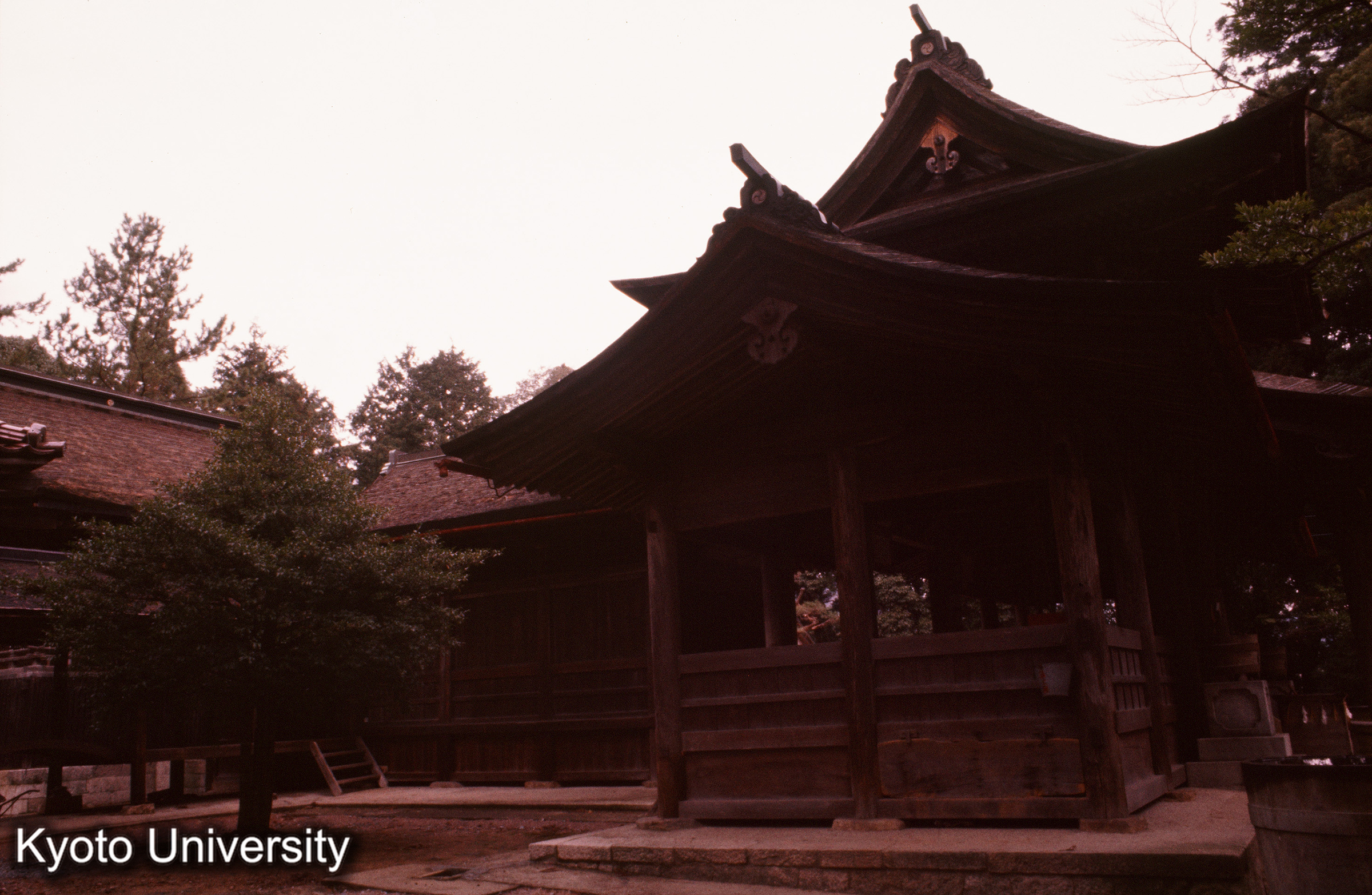 今八幡神社 本殿・幣殿・拝殿 (1)