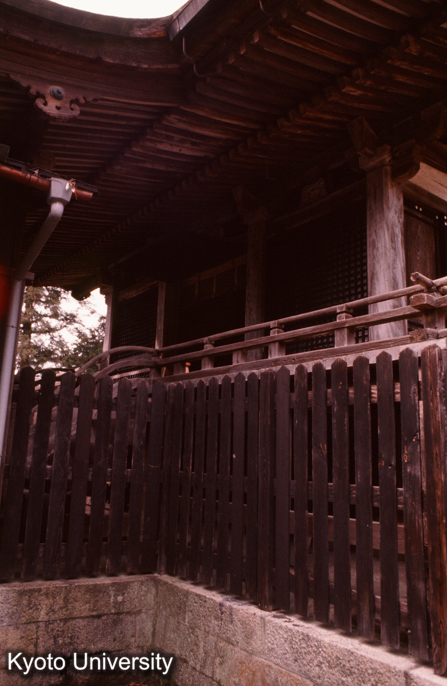 今八幡神社 向拝まわり (1)
