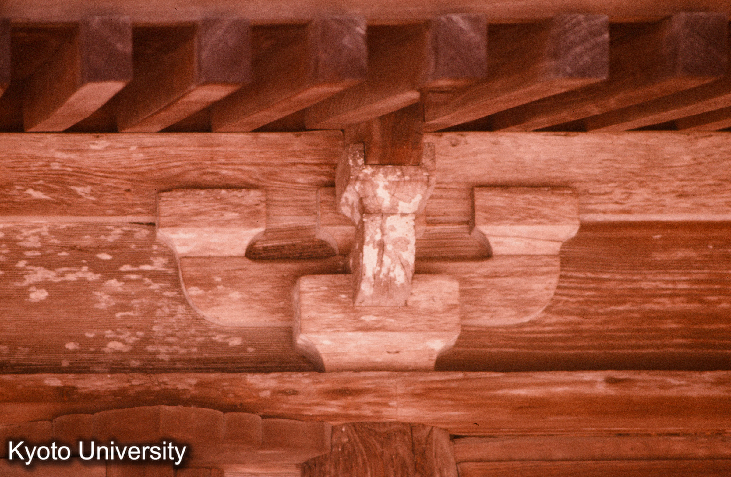 功山寺仏殿 もこし 側斗栱 (1)