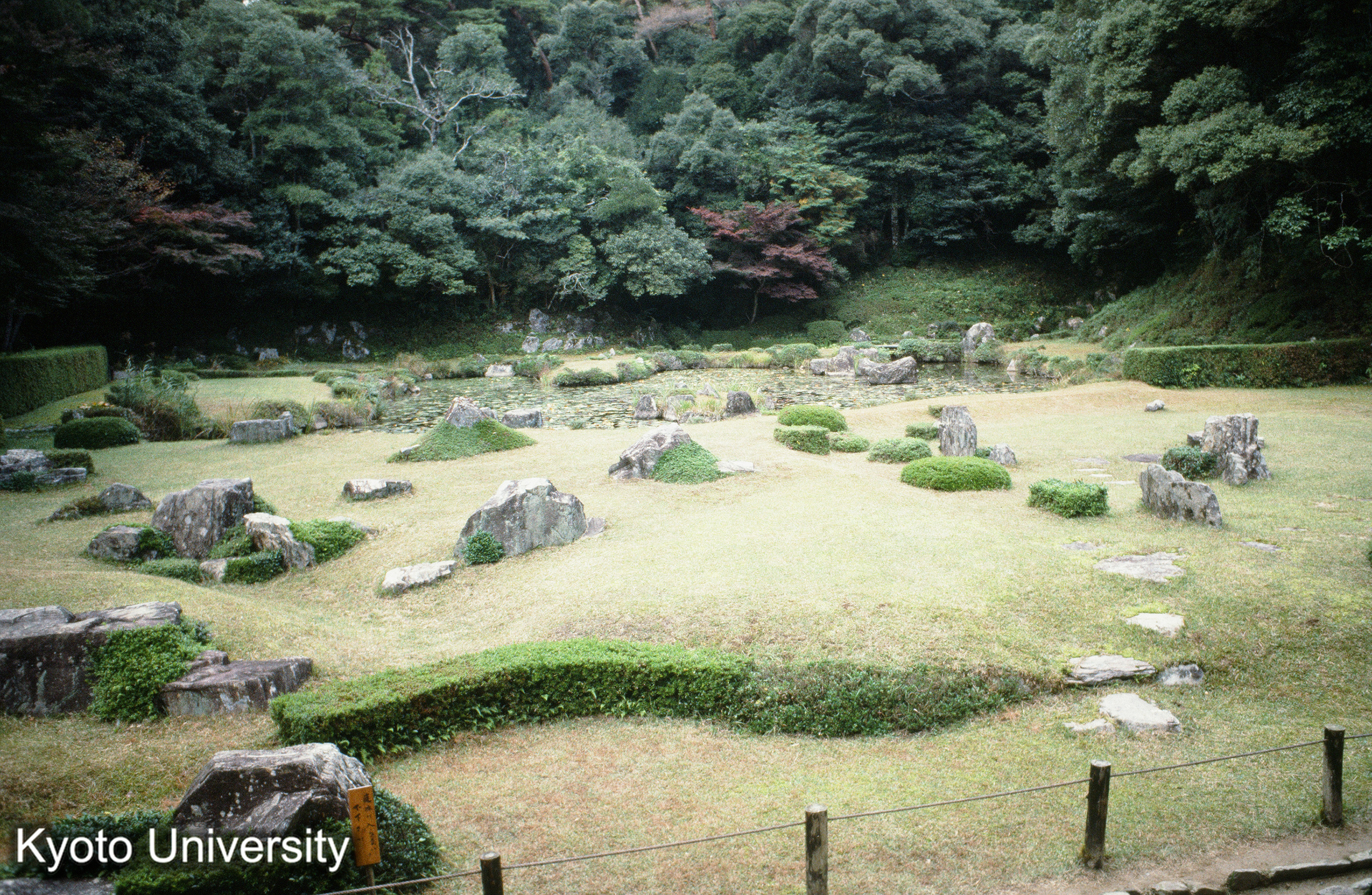 （山口）常念寺庭園 (1)