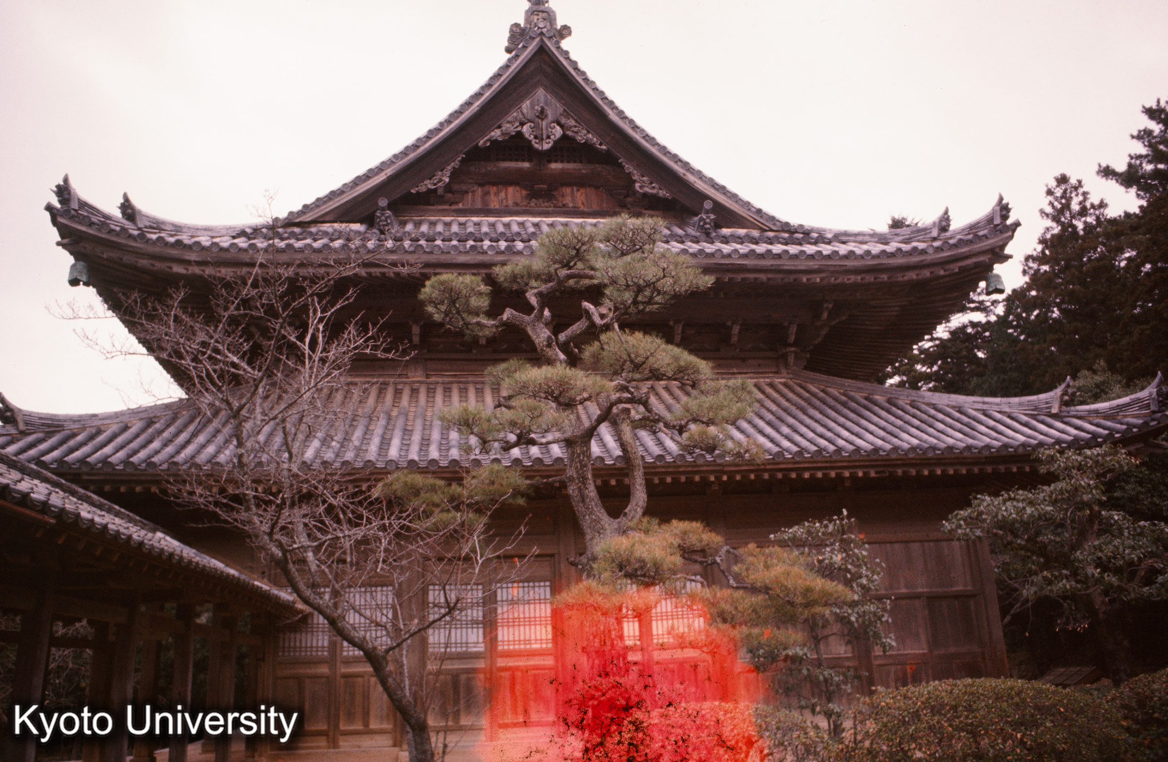 東光寺大雄宝殿 側面 (1)