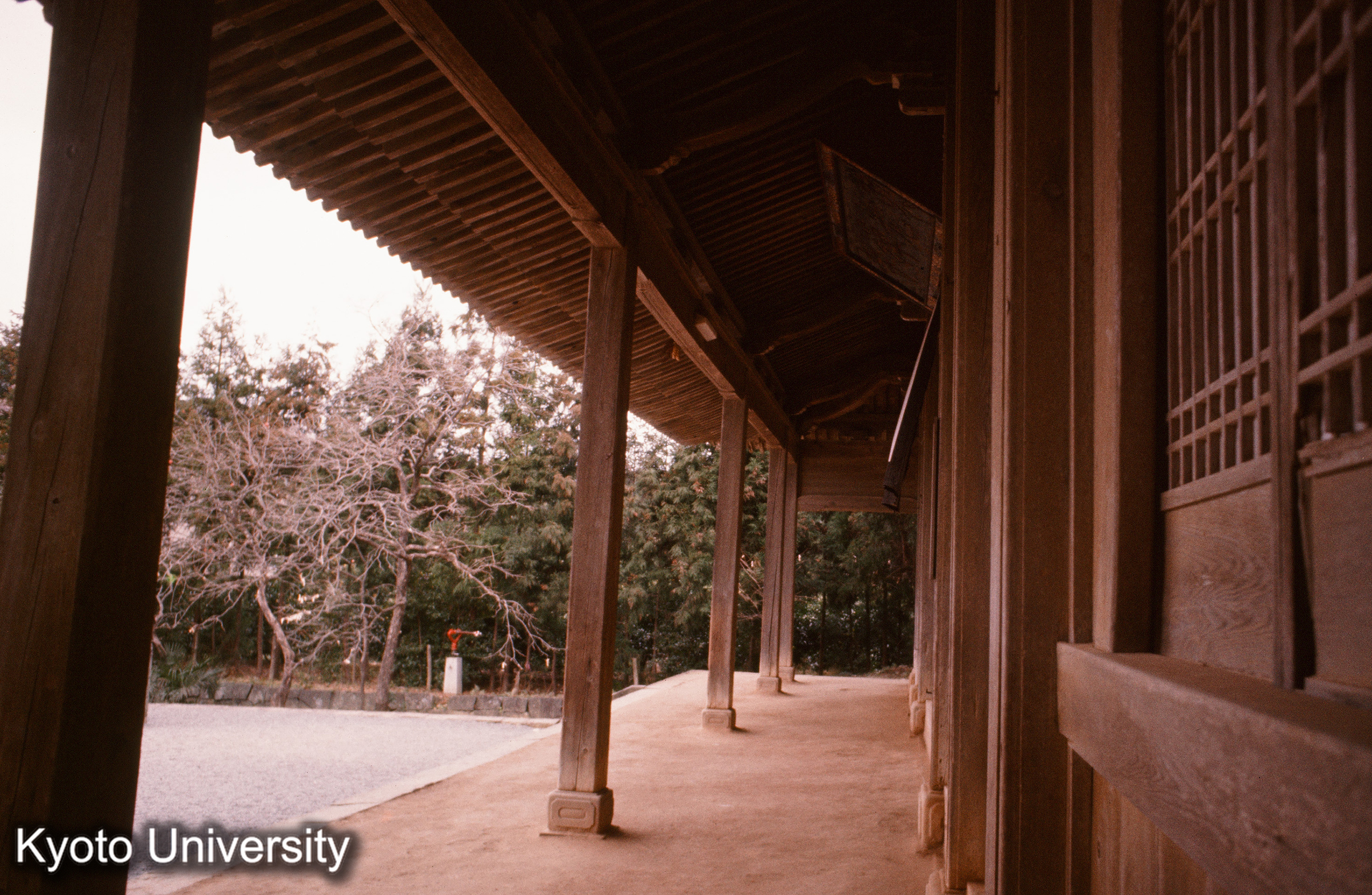 東光寺大雄宝殿 前面走廊 (1)