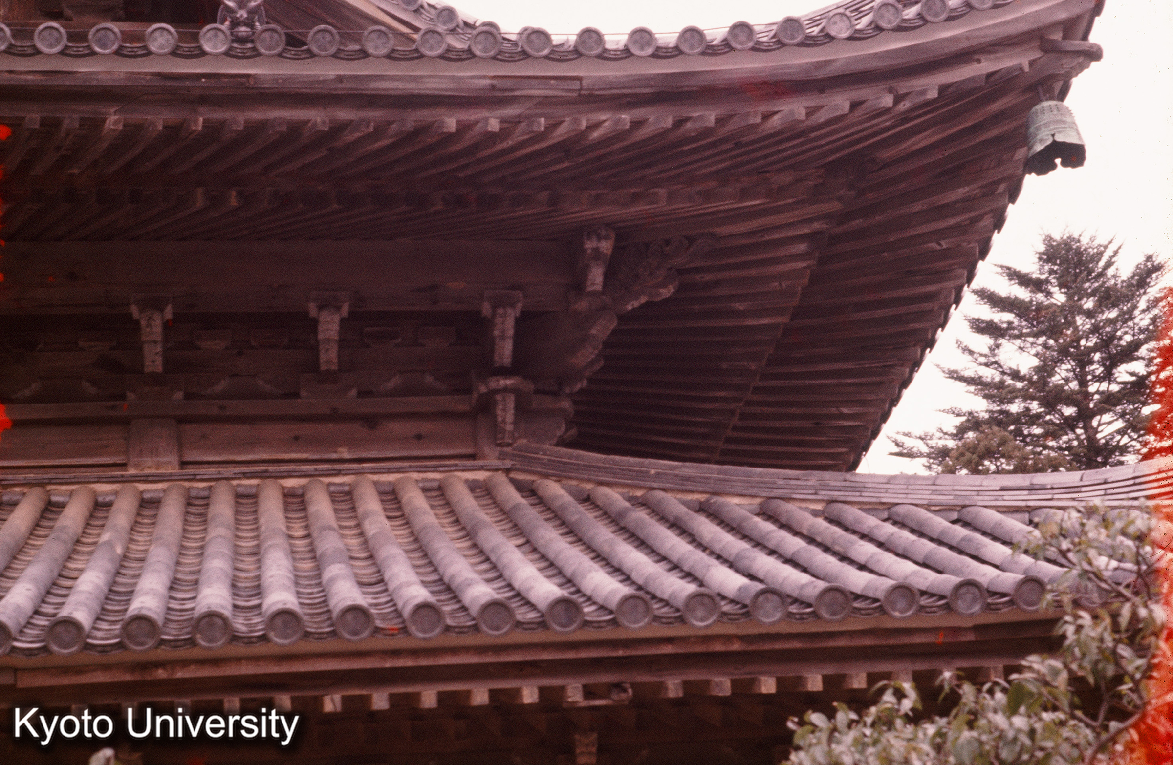 東光寺大雄宝殿 上層詳細 (1)
