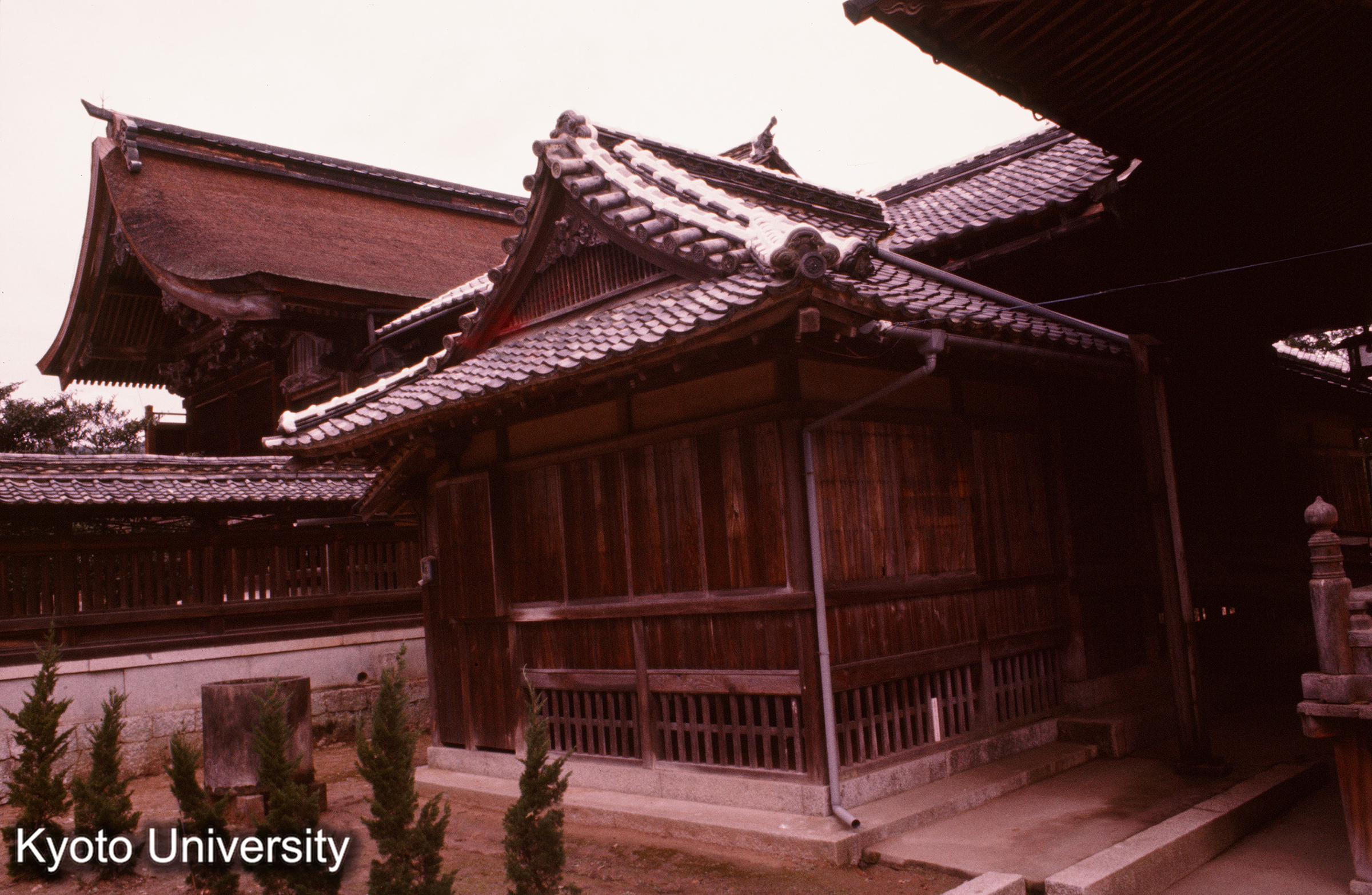 花岡八幡宮 社殿側面 (1)