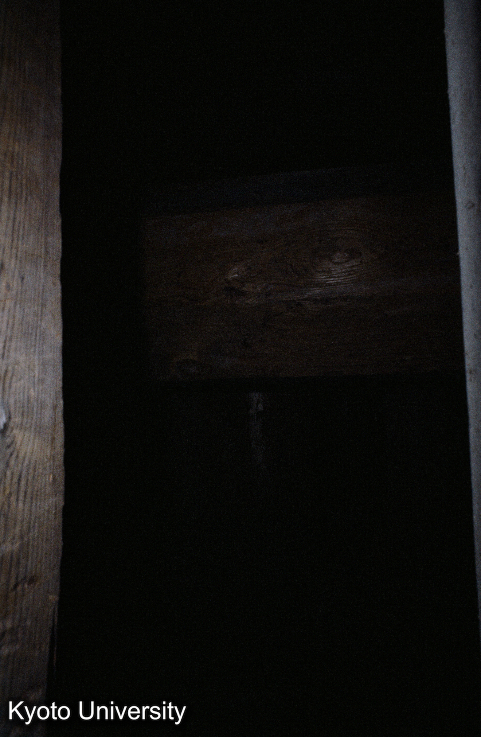 瑠璃光寺五重塔 (1)