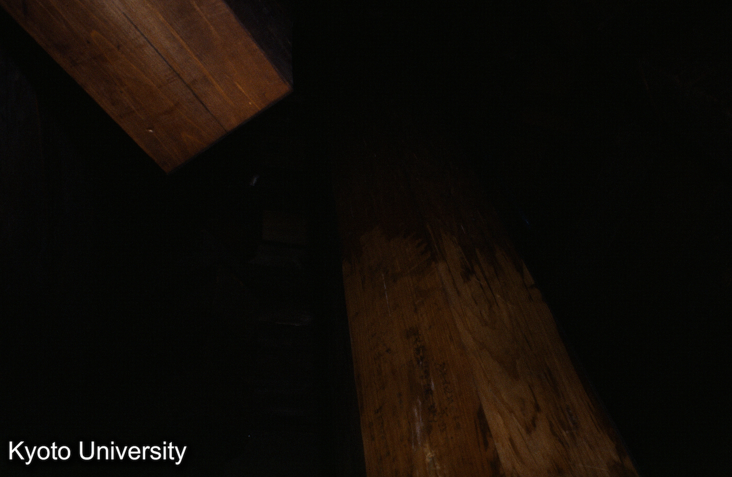 瑠璃光寺五重塔 (1)