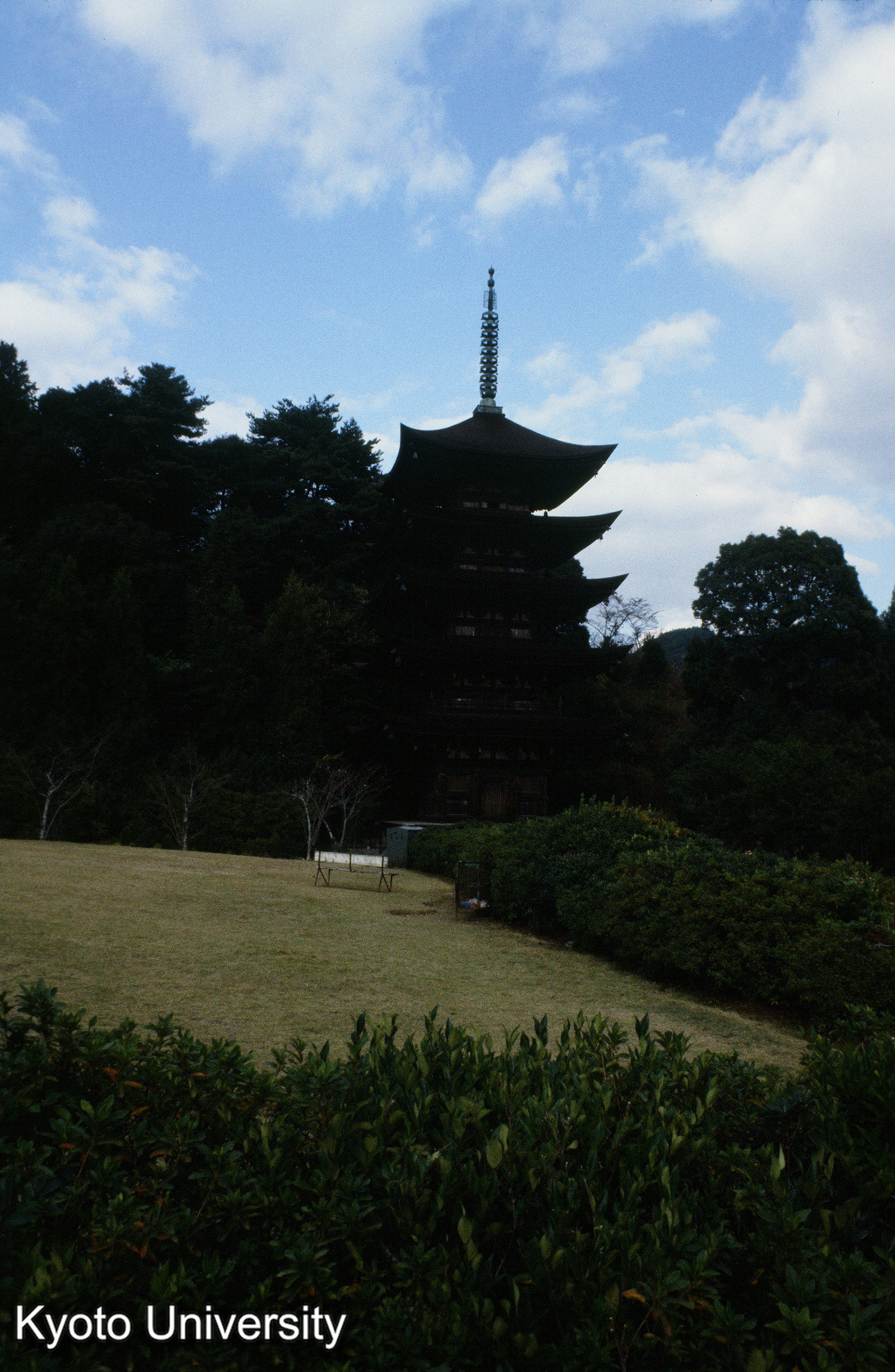 瑠璃光寺五重塔 (1)
