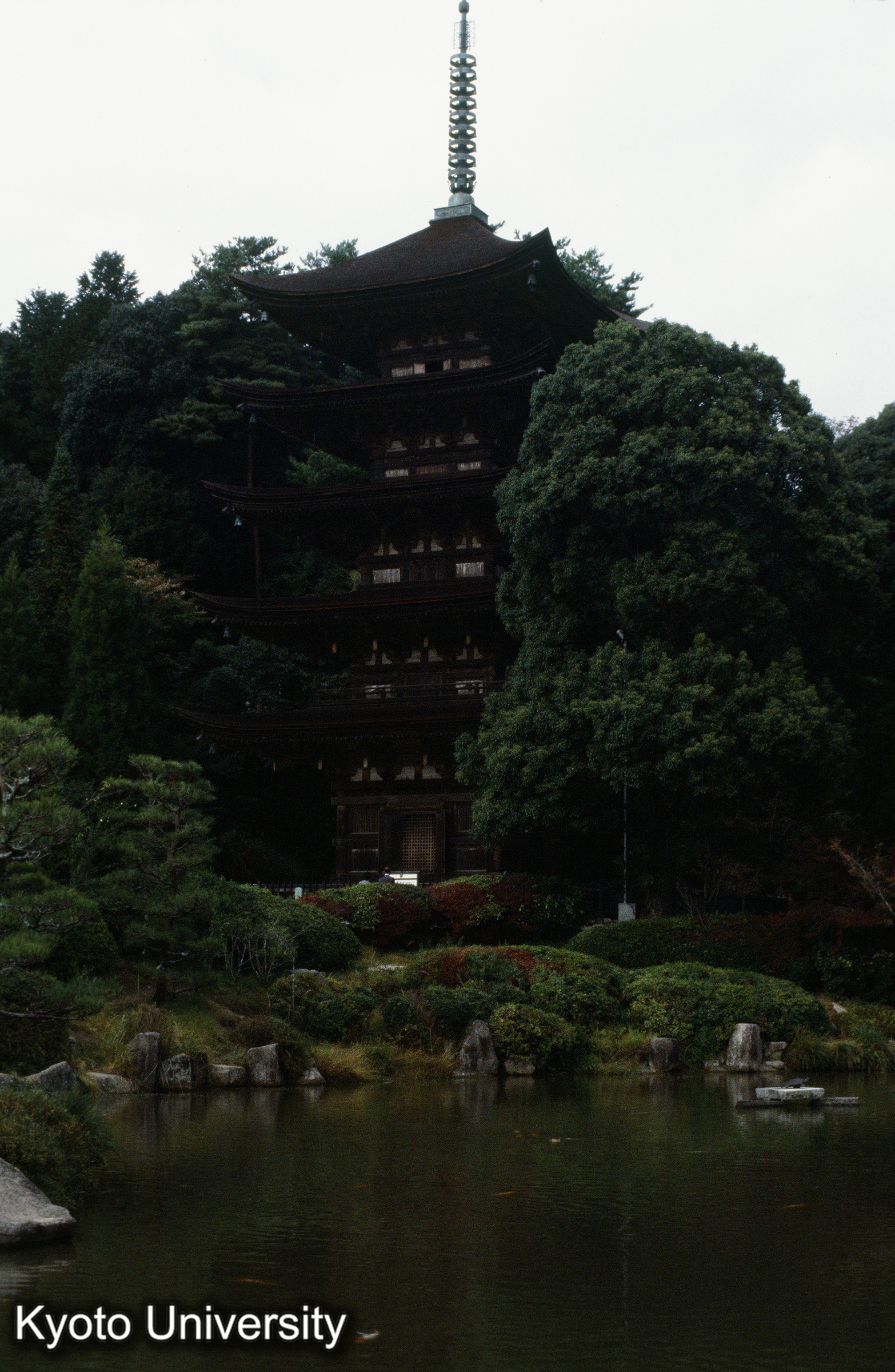 瑠璃光寺五重塔 (1)