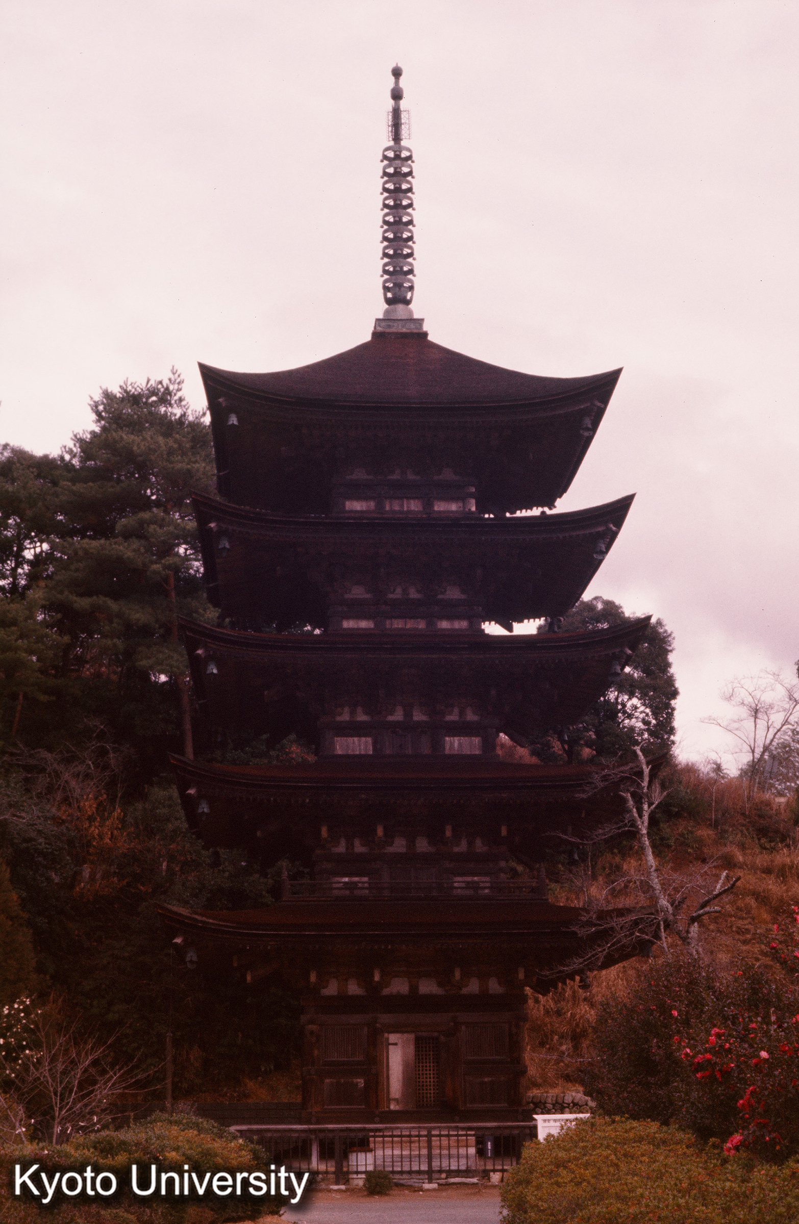 瑠璃光寺五重塔 正面_×暗 (1)