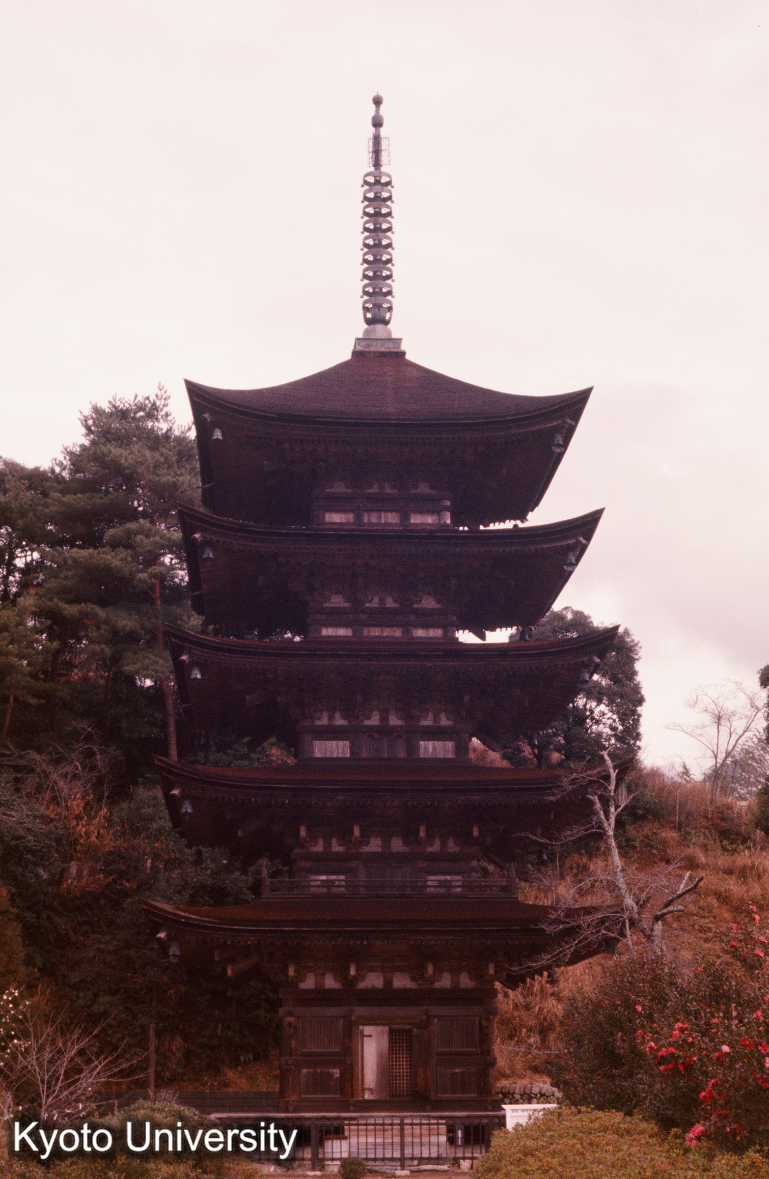 瑠璃光寺五重塔 正面 (1)