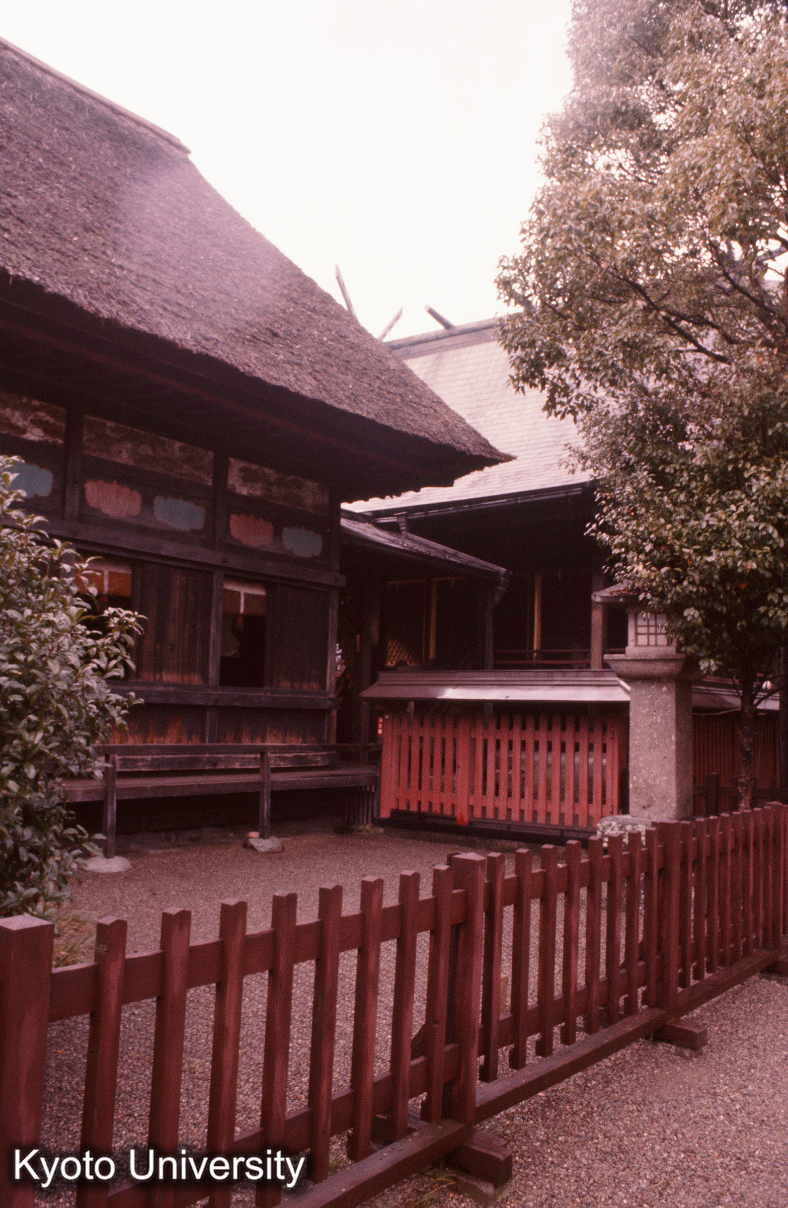 青井阿蘇神社 拝殿・幣殿・本殿 (1)