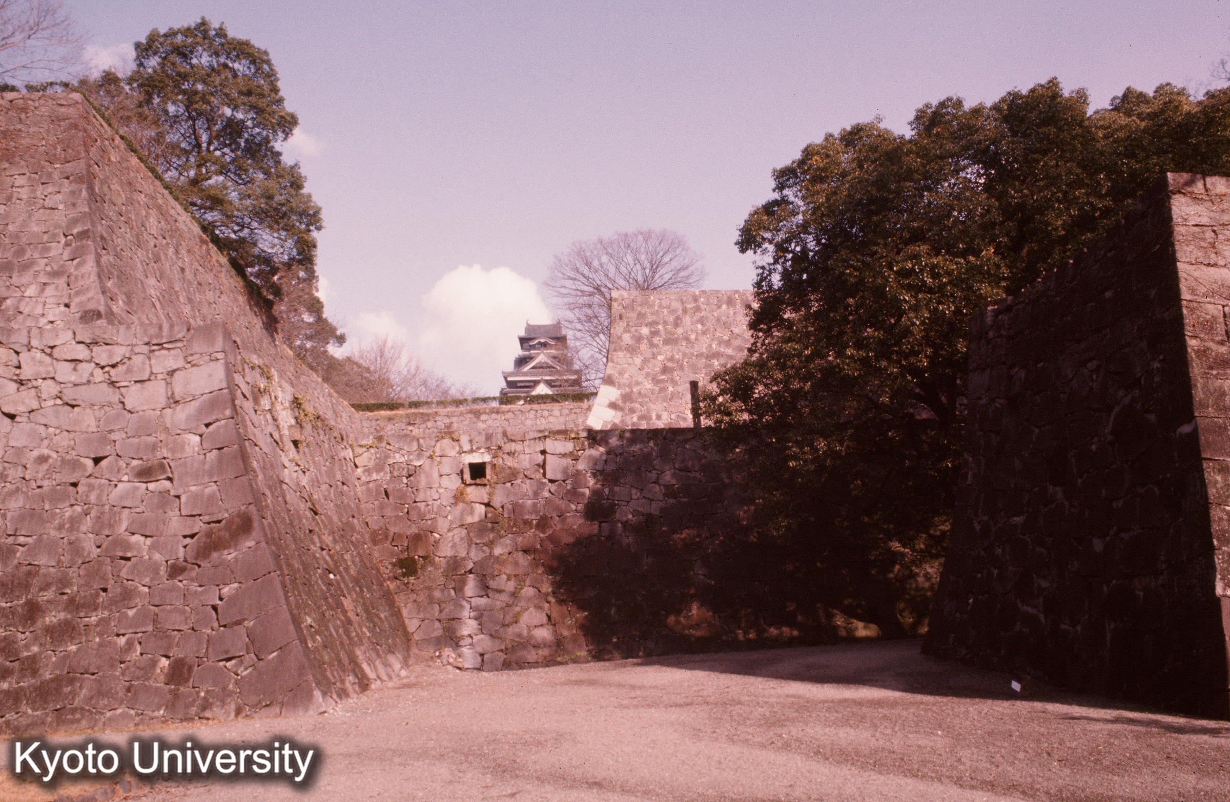 熊本城 舛形 (1)