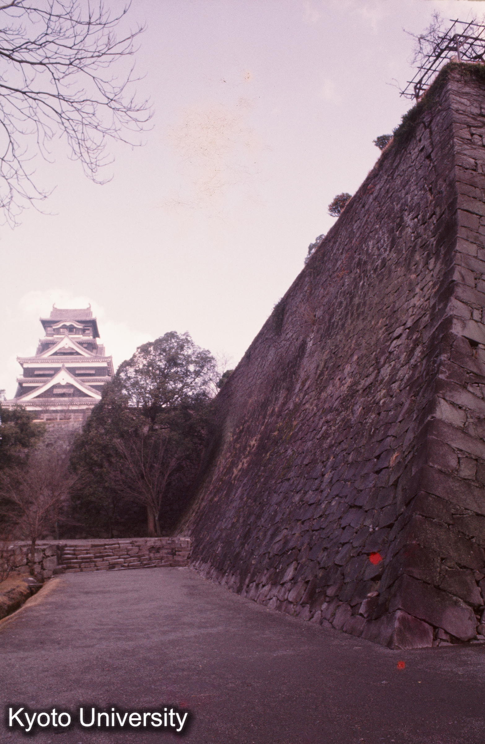 熊本城 石垣 (1)
