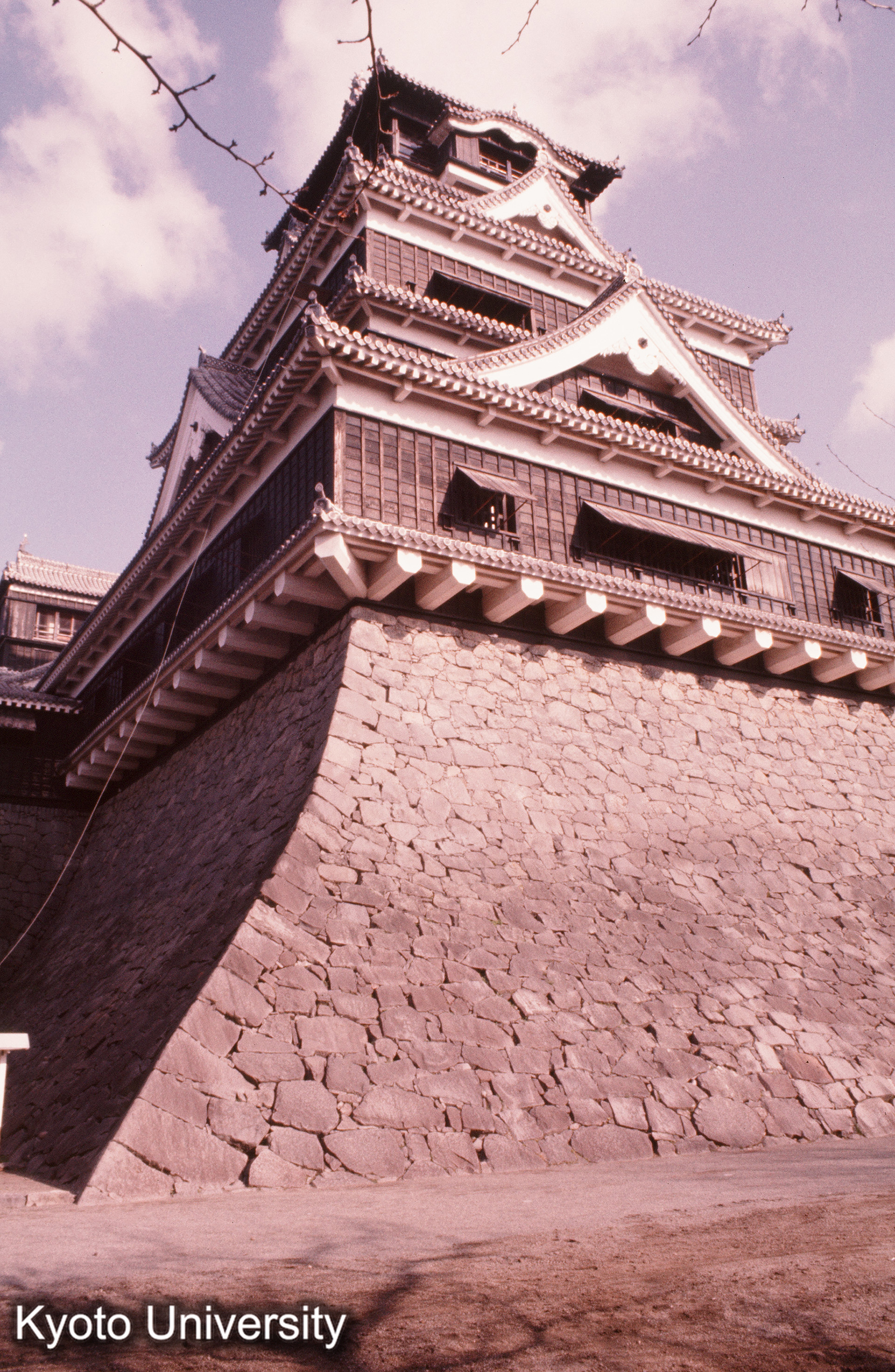 熊本城 天守石垣 (1)