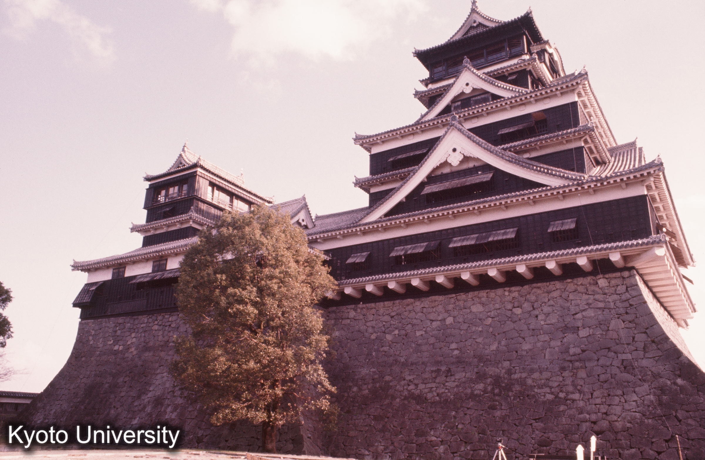 熊本城 天守背面全景 (1)