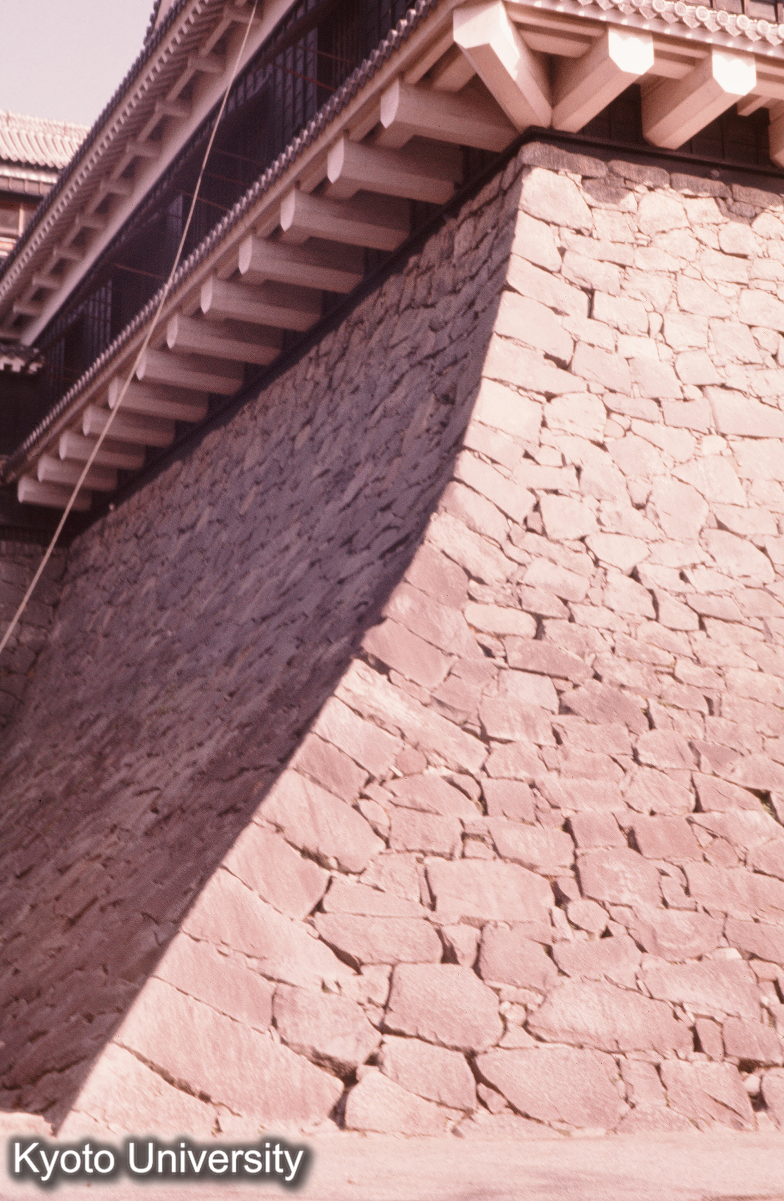 熊本城 天守石垣詳細 (1)