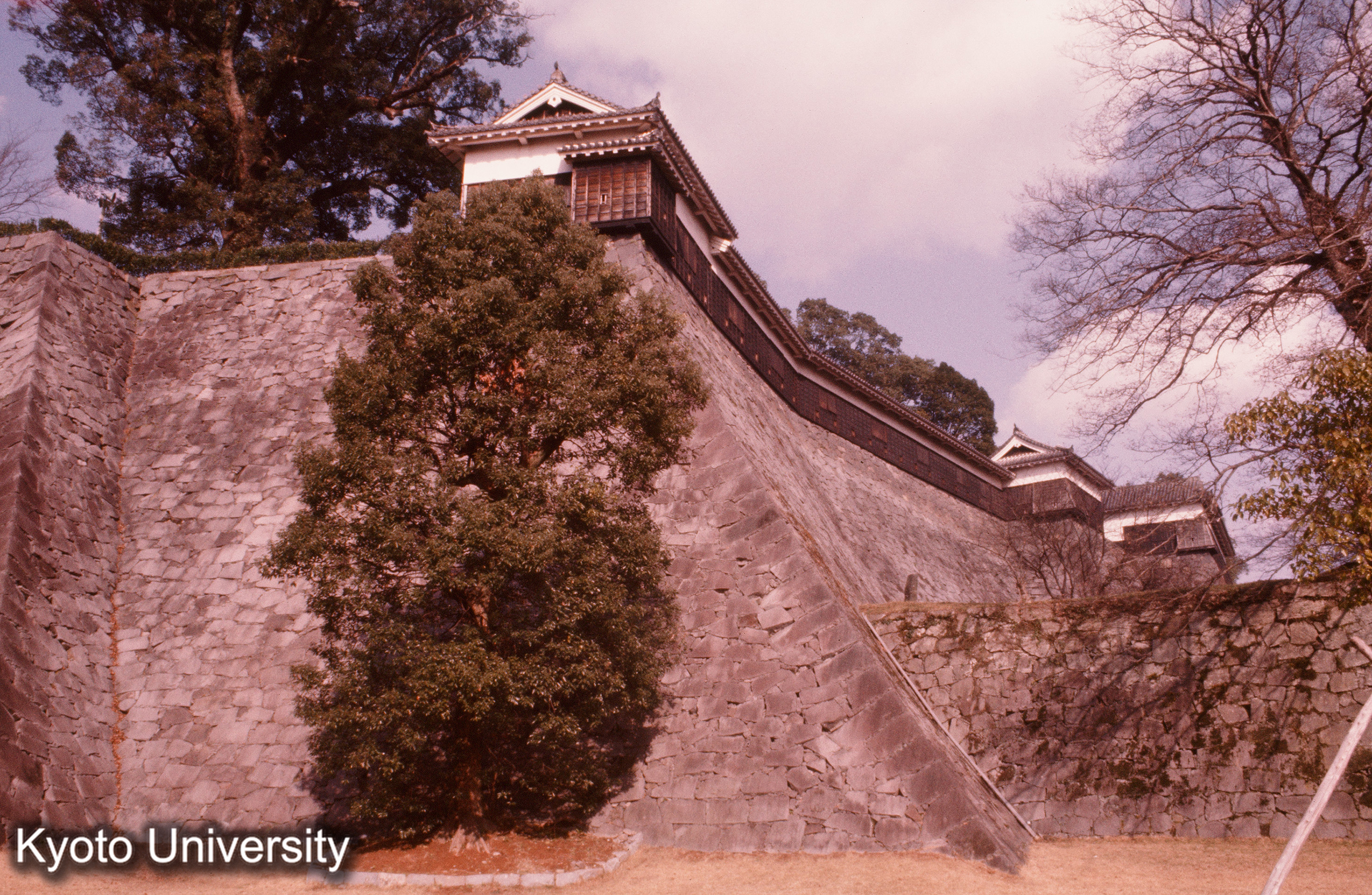 熊本城 石垣 (1)