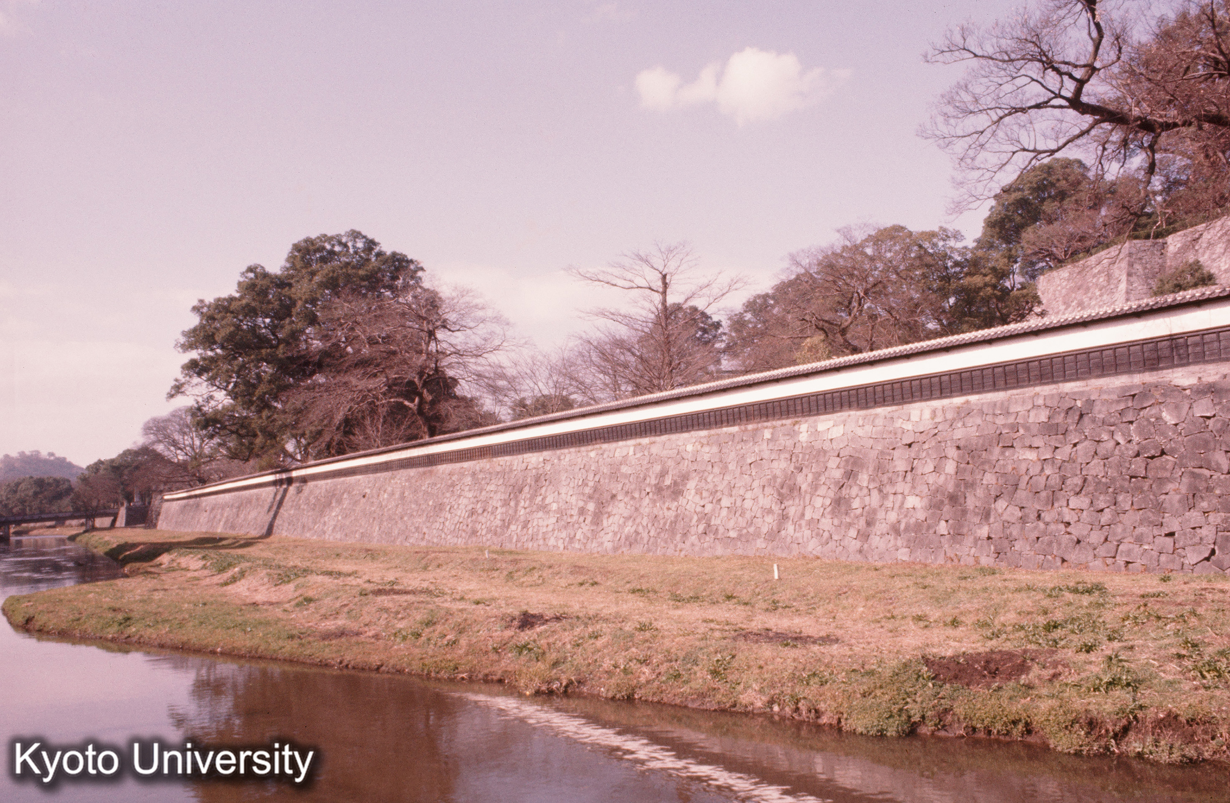 熊本城 長塀 (1)