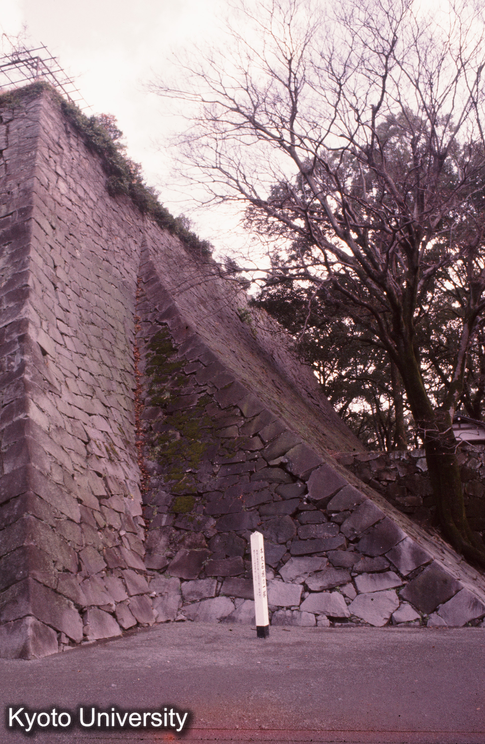 熊本城 石垣 (1)