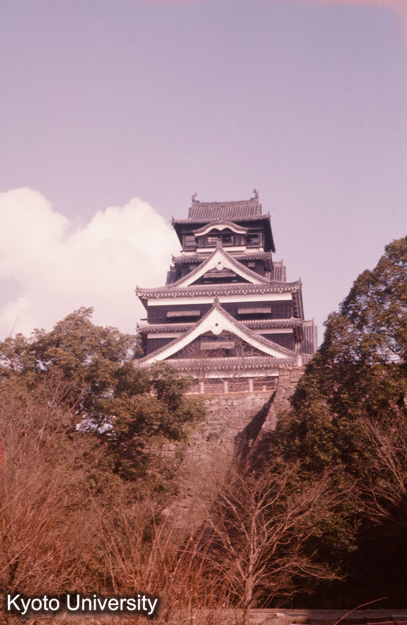 熊本城 天守遠望 (1)