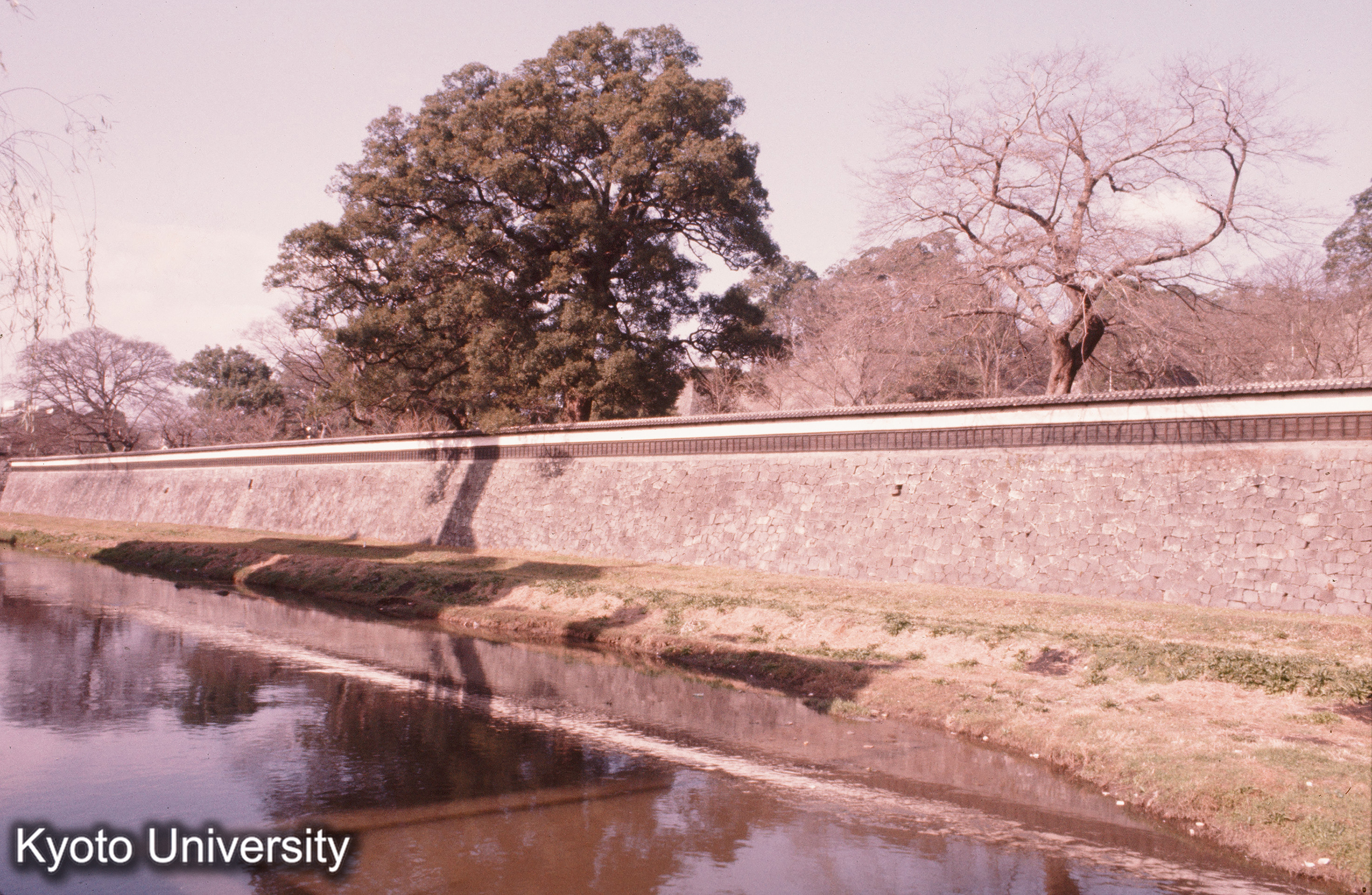 熊本城 長塀 (1)