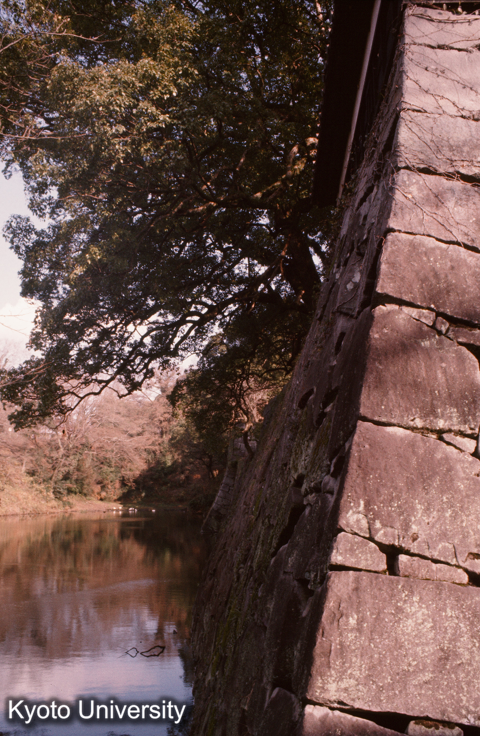 熊本城 石垣詳細 (1)