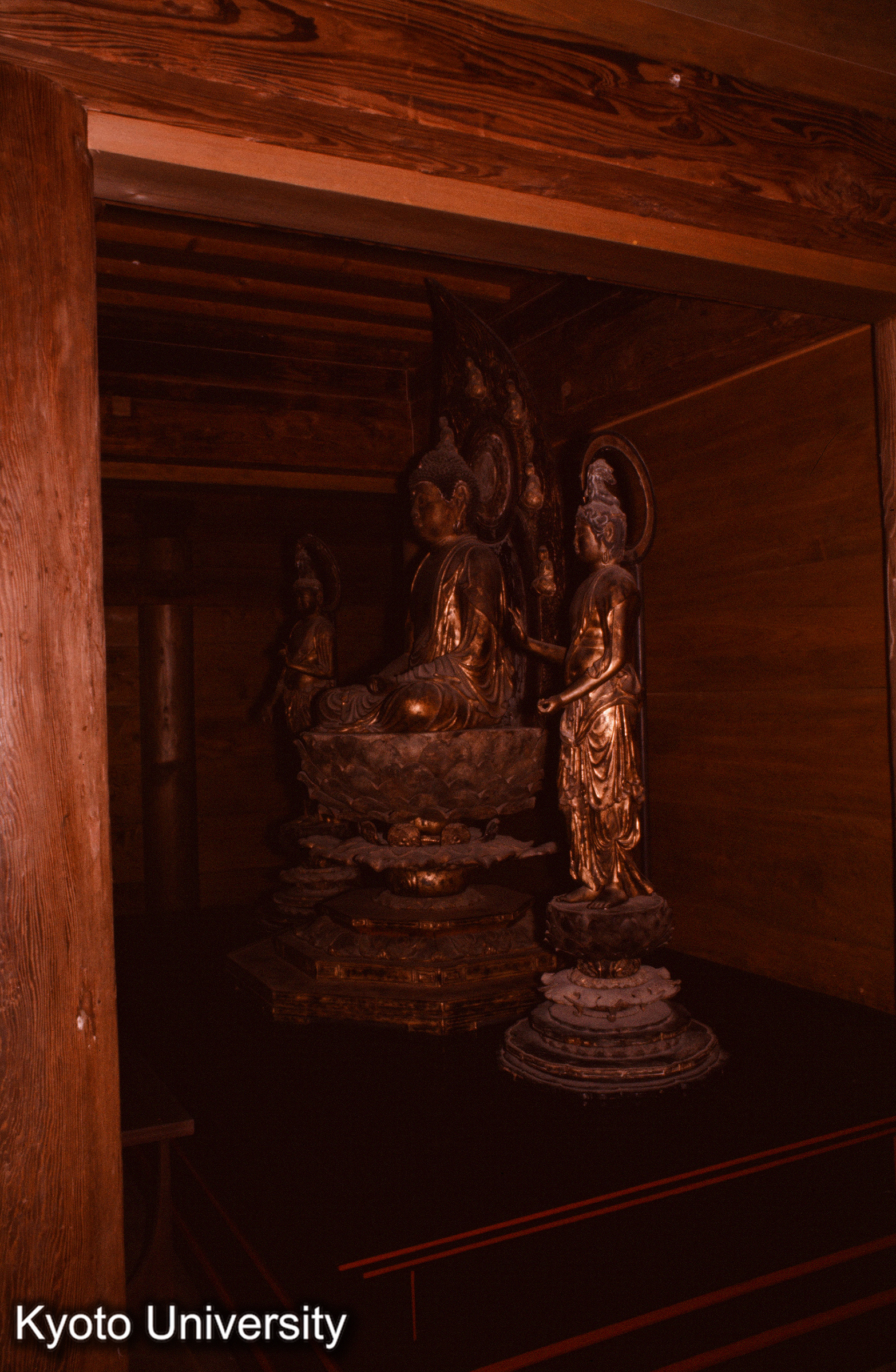 城泉寺阿弥陀堂 三尊側面 (1)