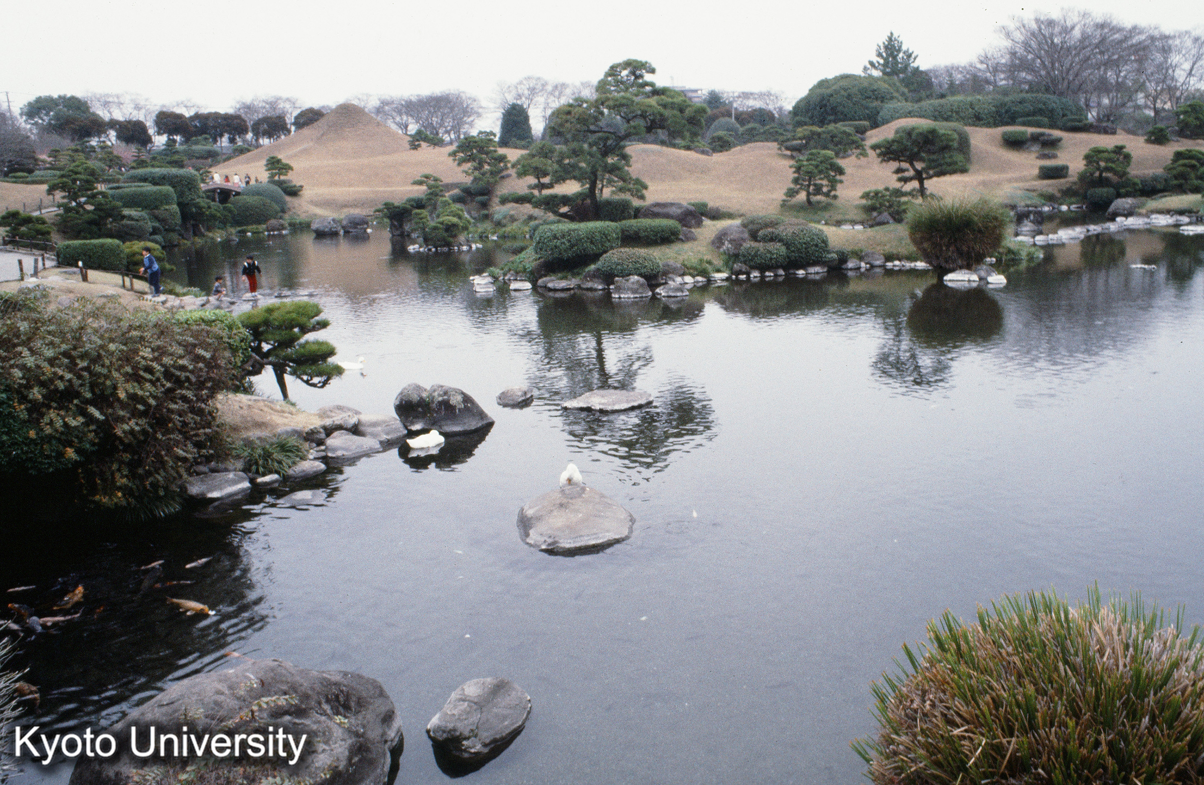 12_水前寺公園 苑池・中島 成趣園_⑧ (1)