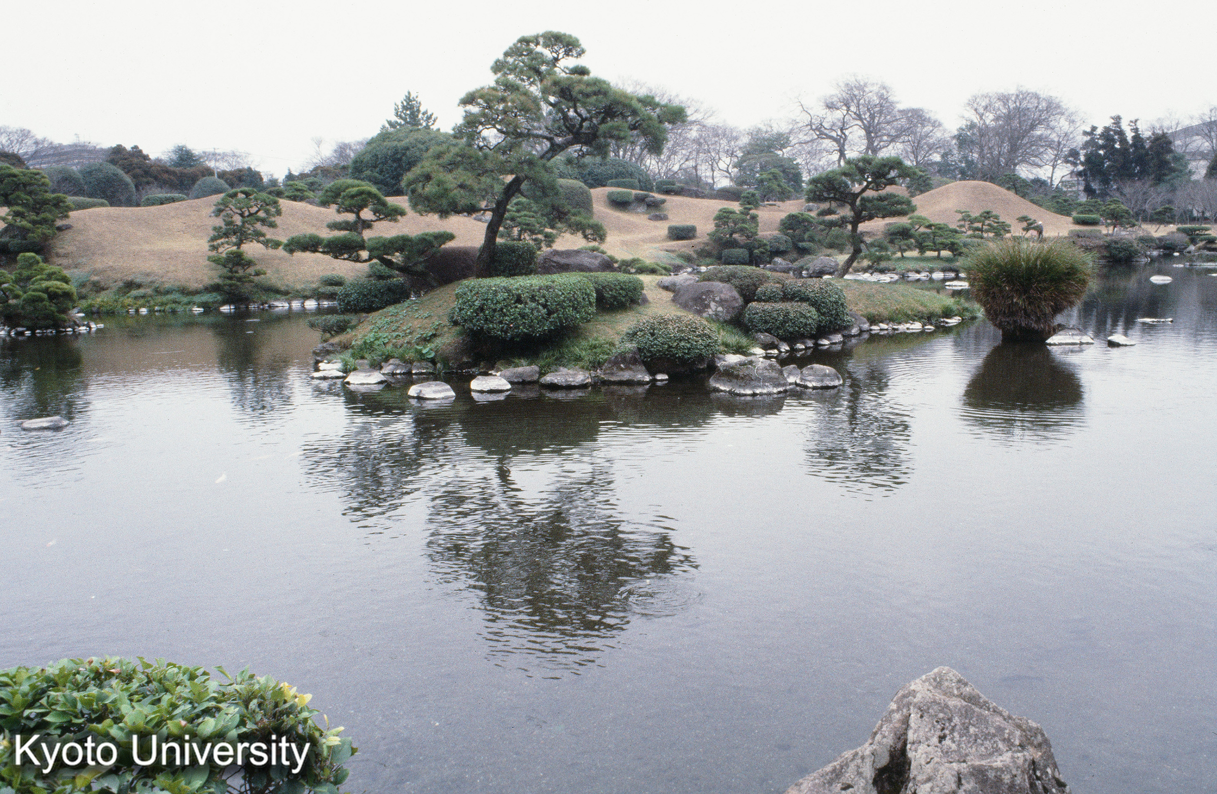 水前寺公園_⑧ (1)