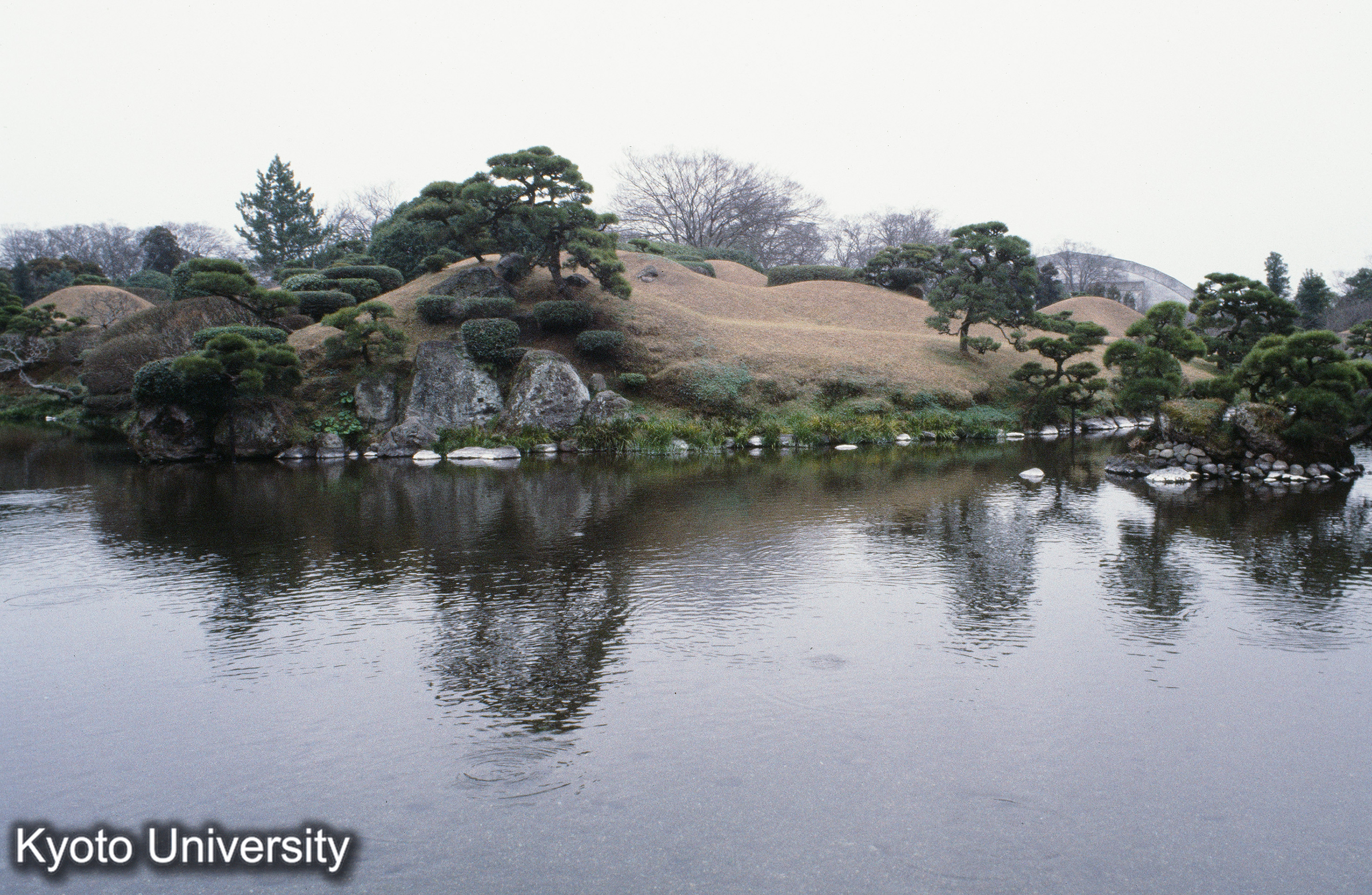 水前寺 成趣園 (1)