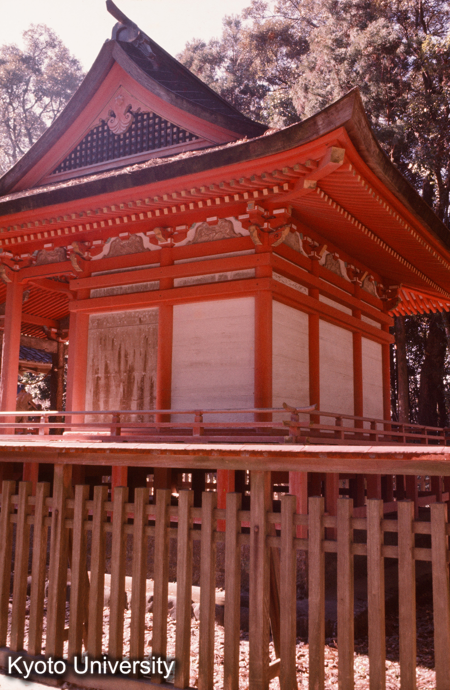 大口八幡神社本殿 背側面 (1)