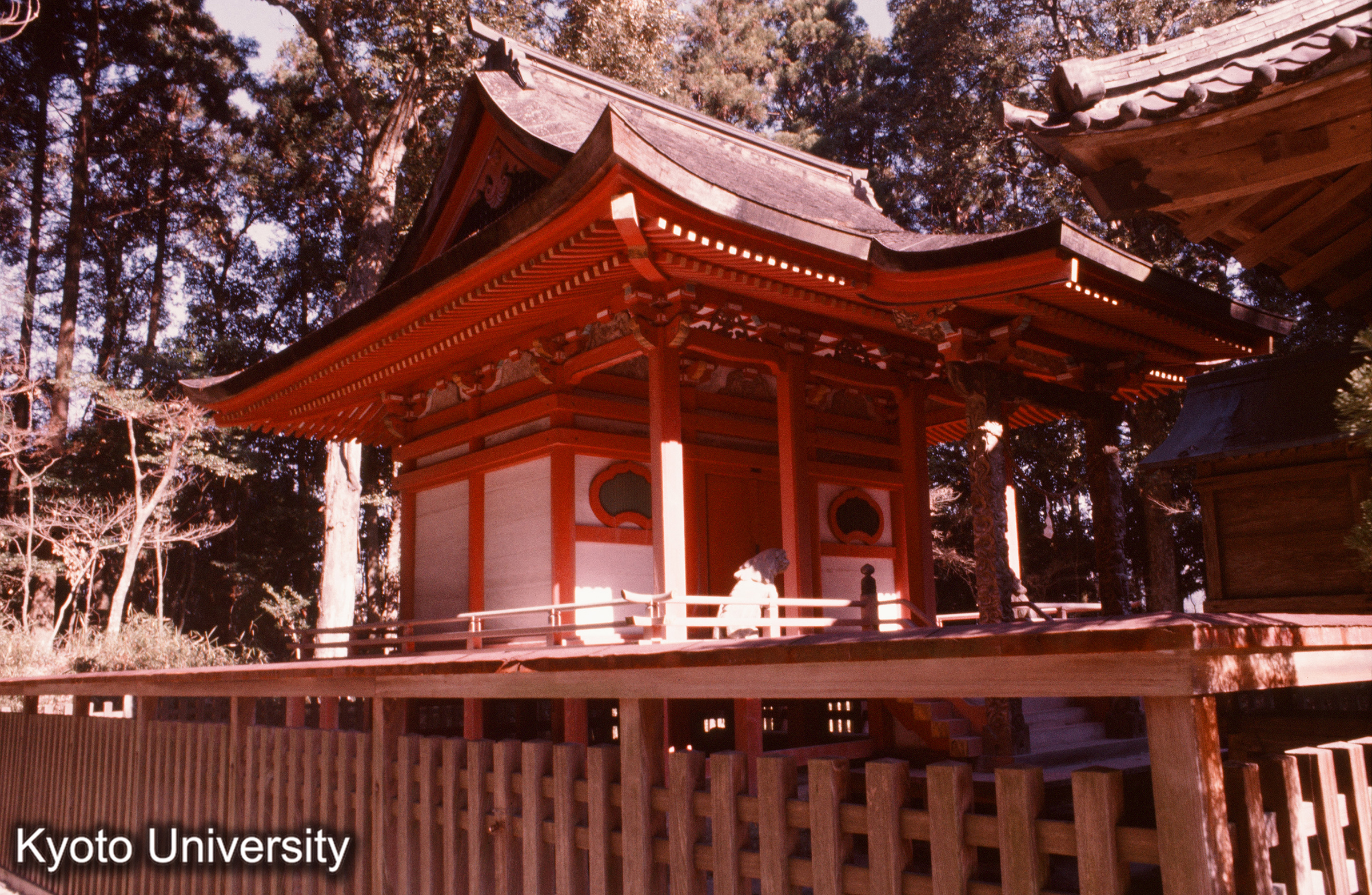 大口八幡神社本殿 正側面 (1)