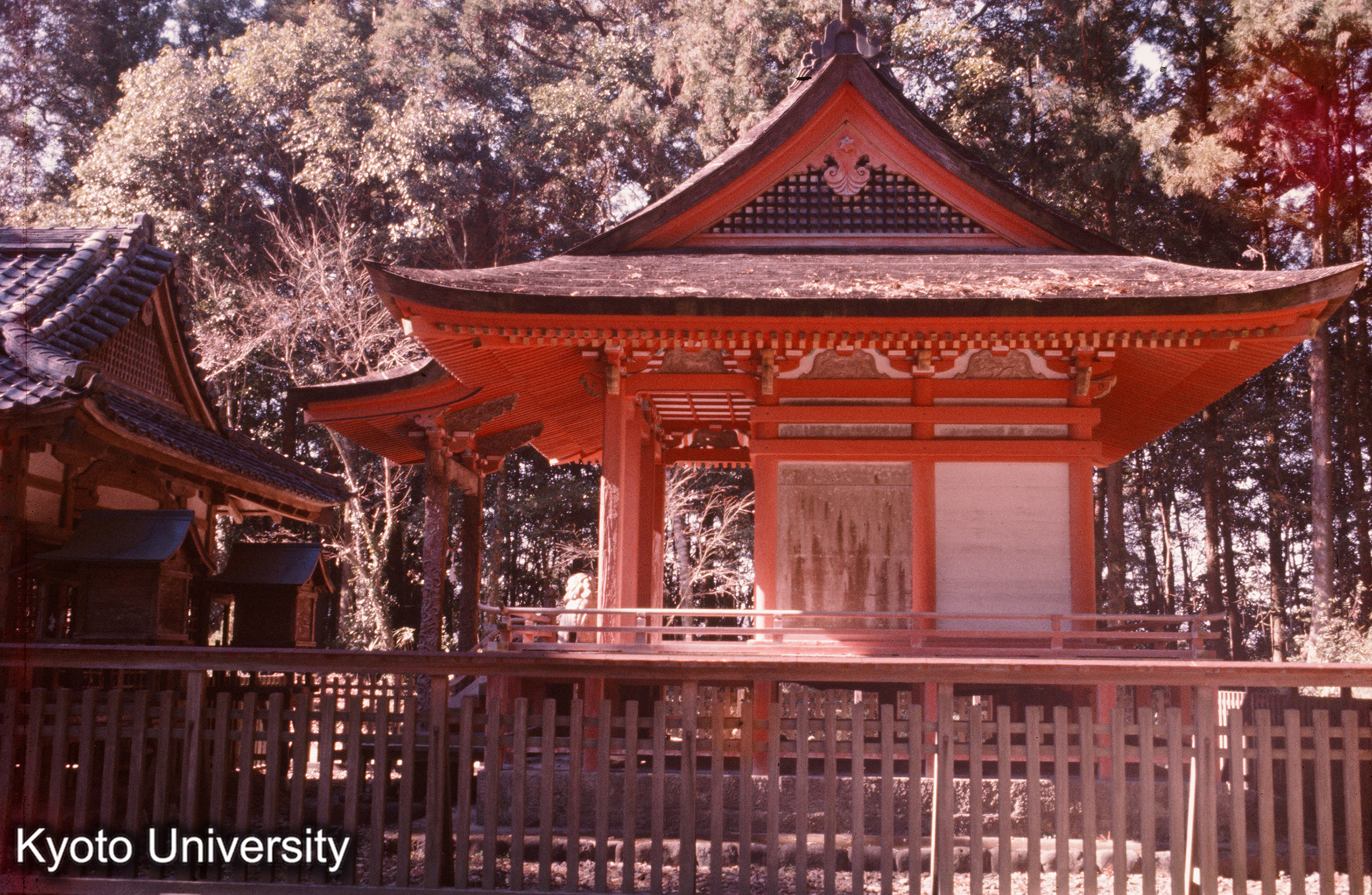 大口八幡神社本殿 側面 (1)