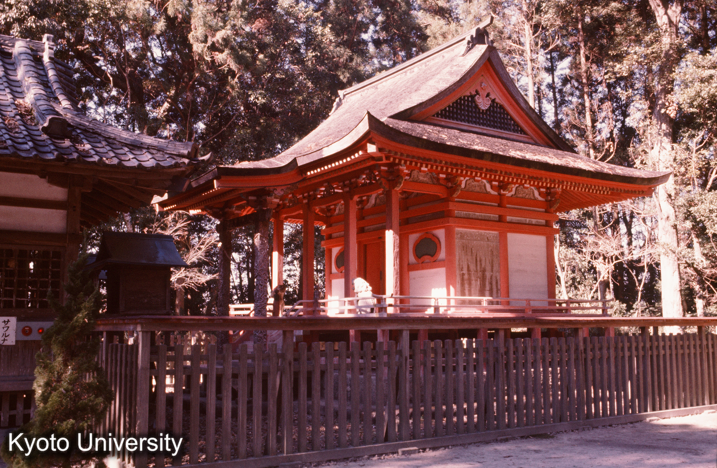 大口八幡神社本殿 正側面 (1)