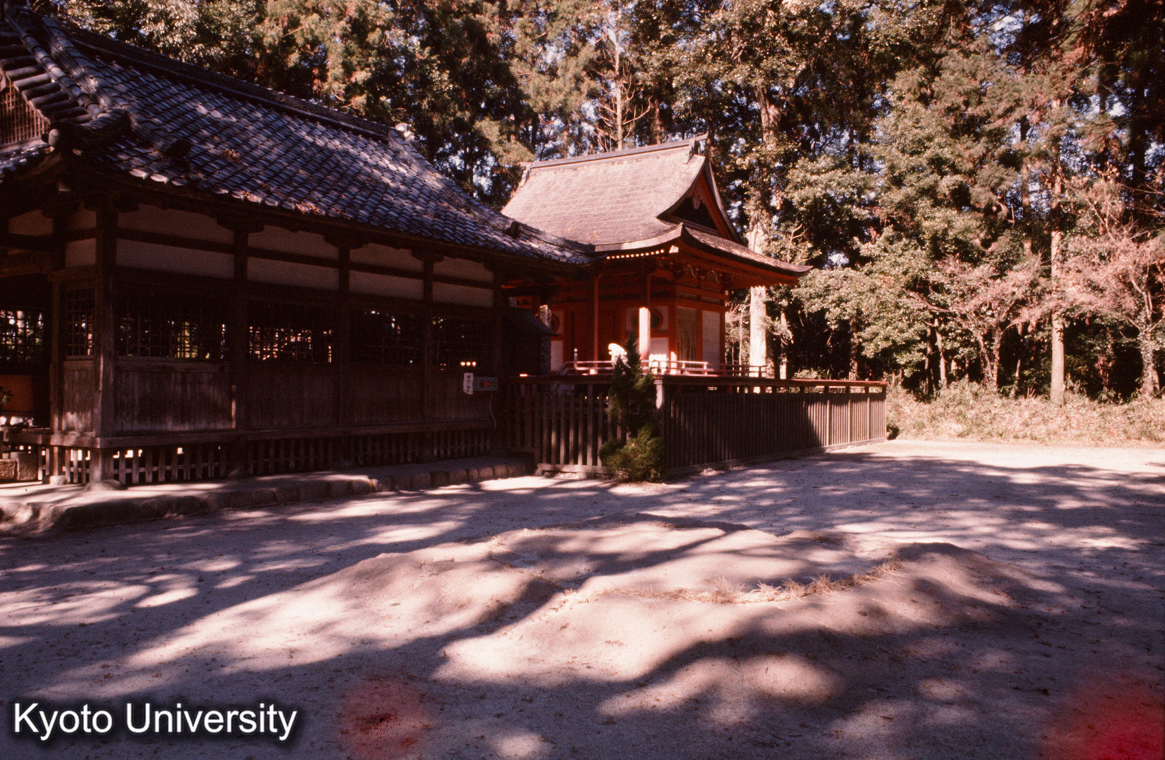 大口八幡神社 拝殿・本殿 (1)