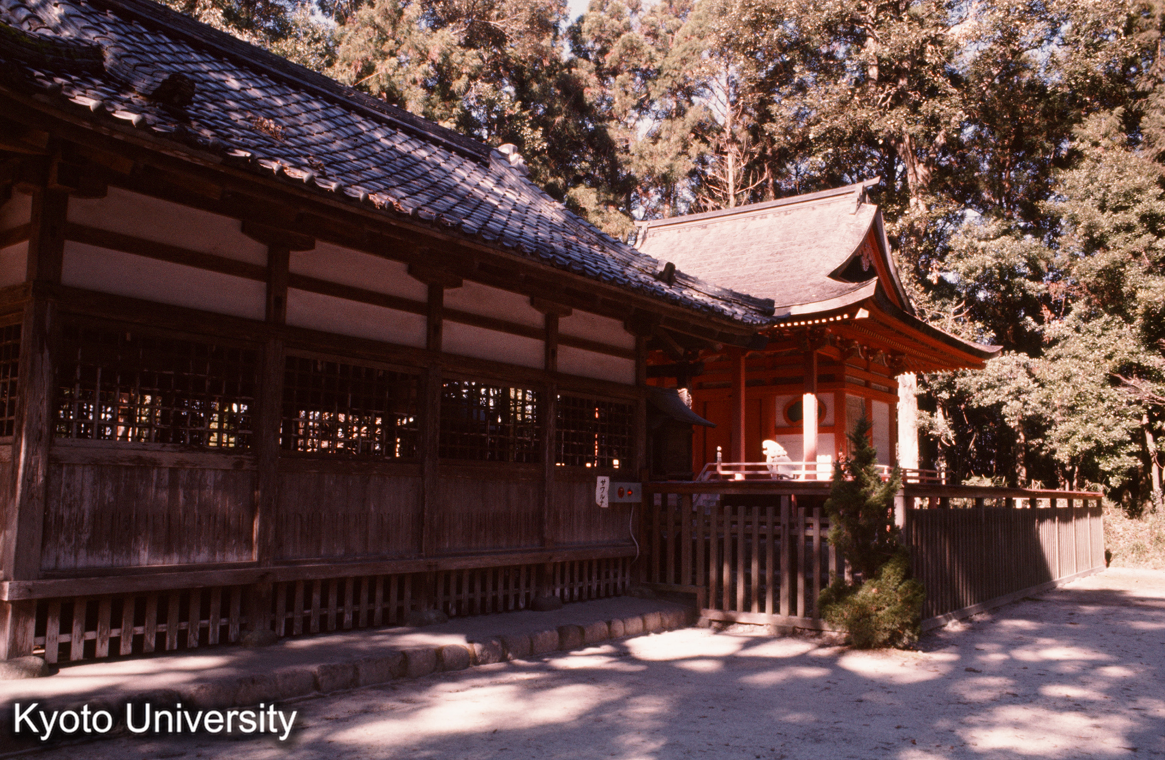 大口八幡神社 拝殿・本殿 (1)