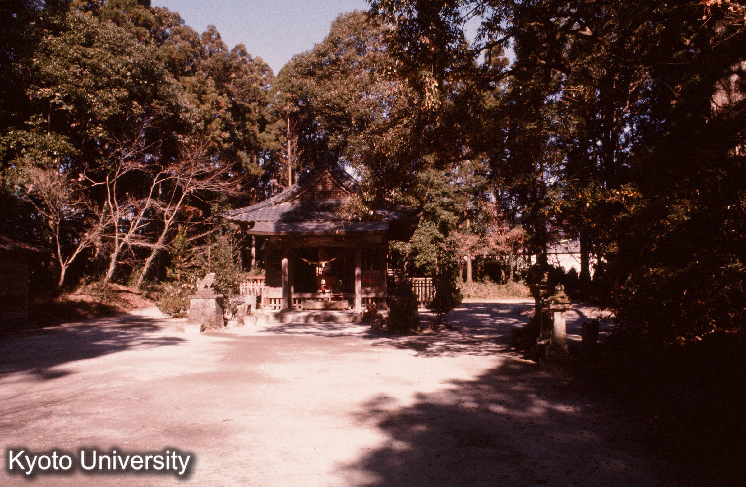 大口八幡神社 境内 (1)