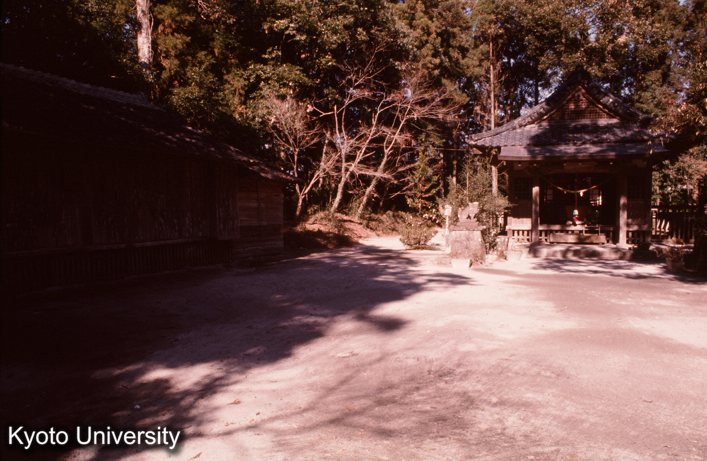 大口八幡神社 境内 (1)