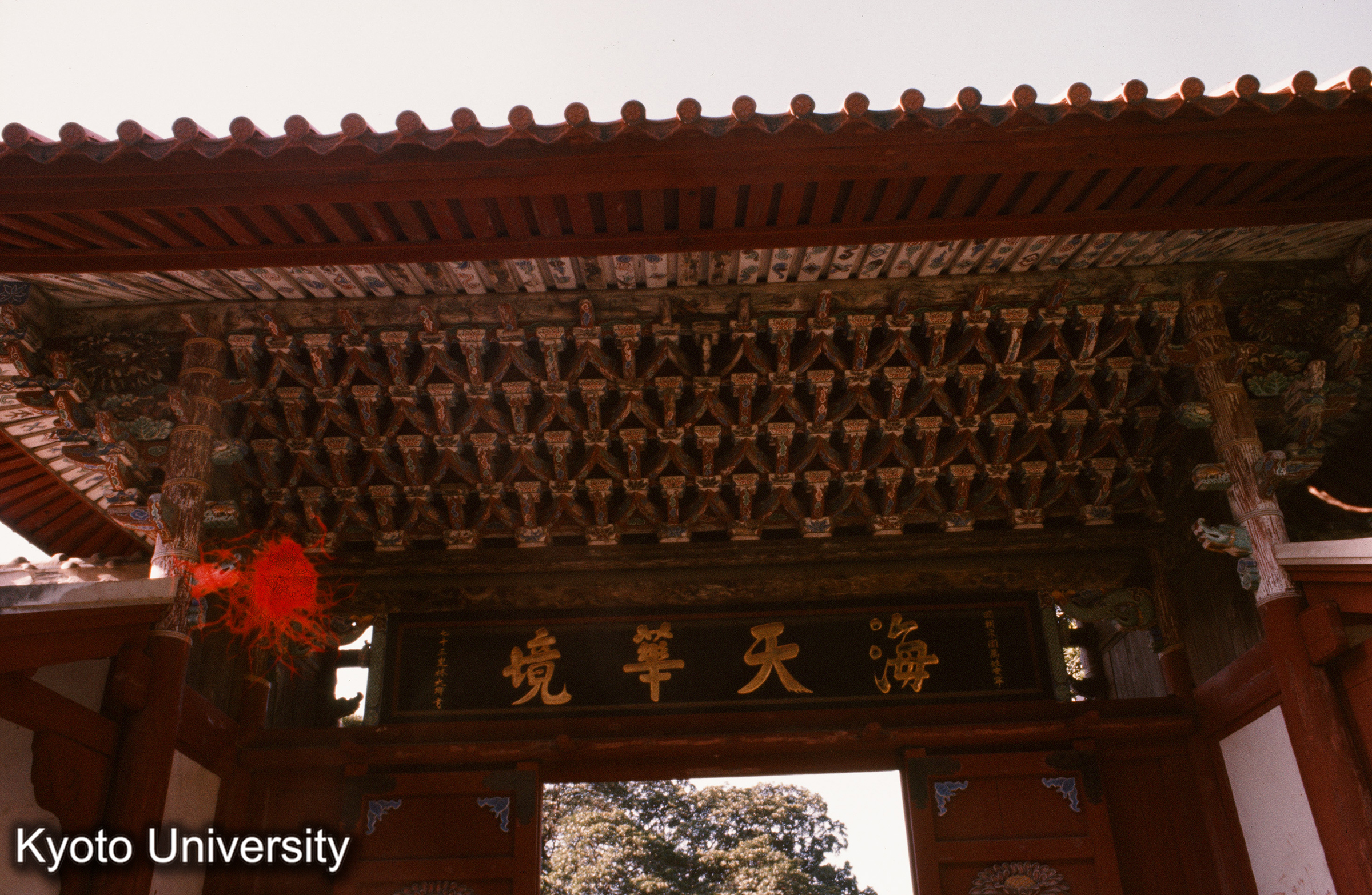 崇福寺第一峰門 背（東）面軒見上げ (1)