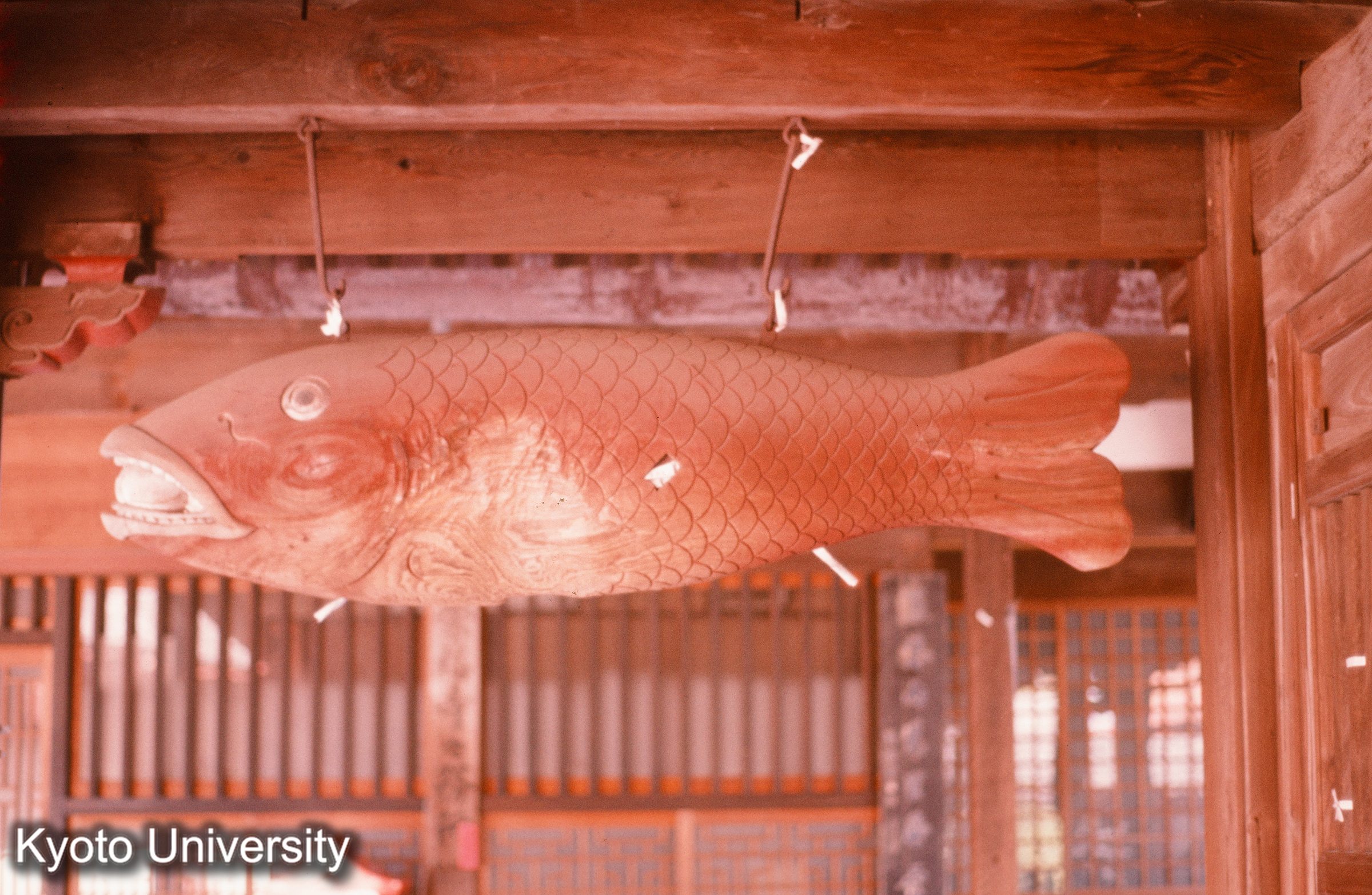 崇福寺媽姐門 魚板 (1)